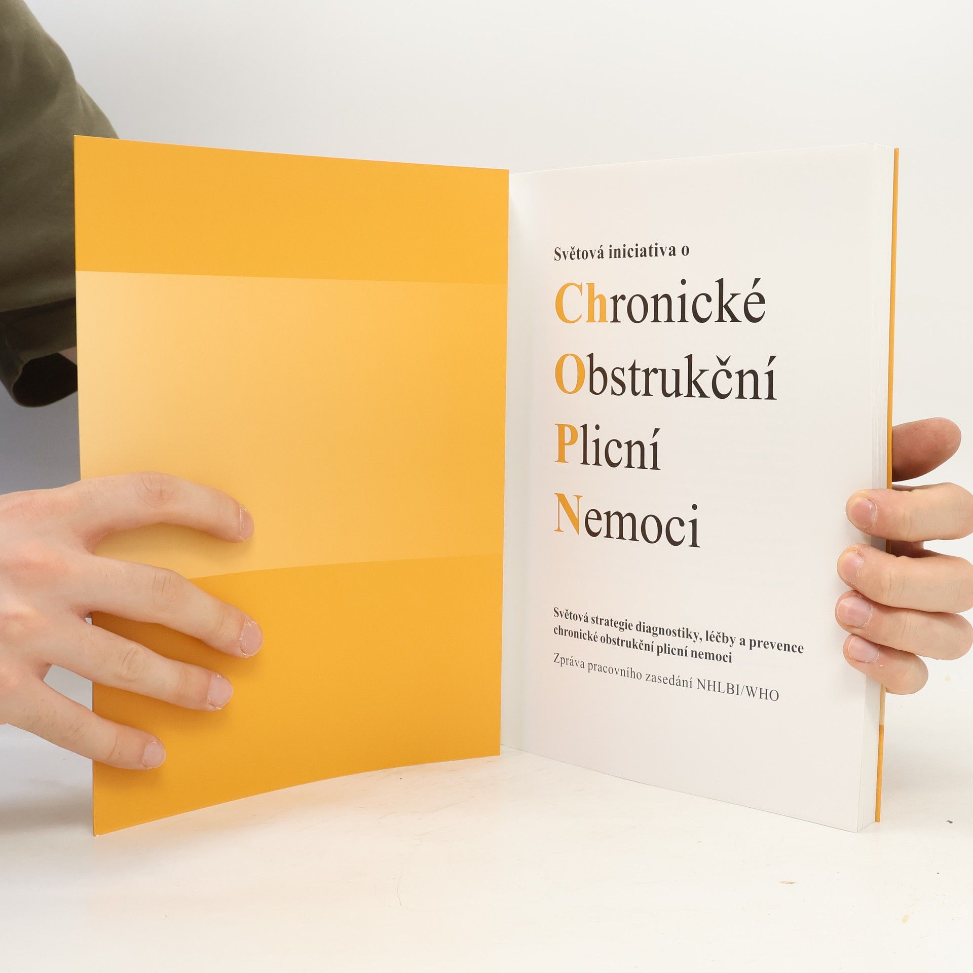 Kolektiv autorů Světová iniciativa o chronické obstrukční plicní nemoci. Světová strategie diagnostiky, léčby a prevence chronické obstrukční plicní nemoci