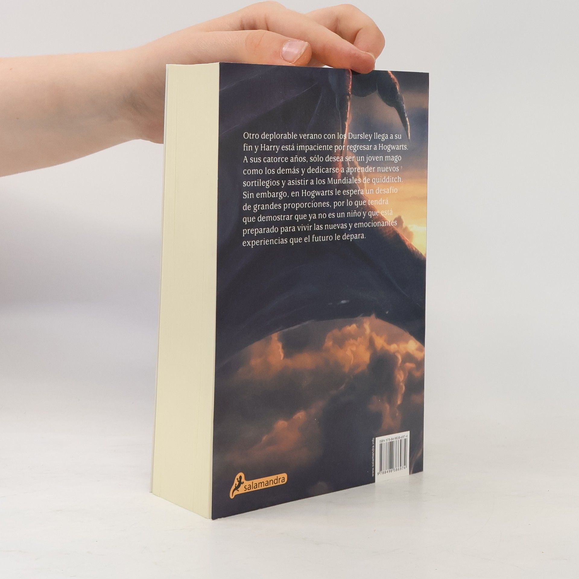 J. K. Rowling Harry Potter y El Caliz de Fuego