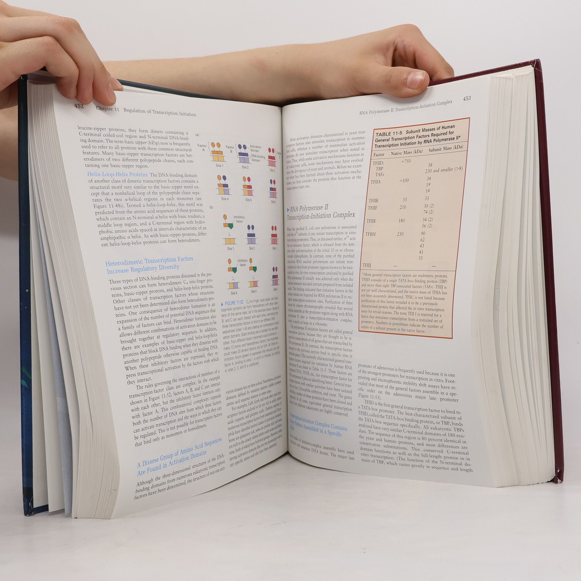 Various authors Molecular Cell Biology