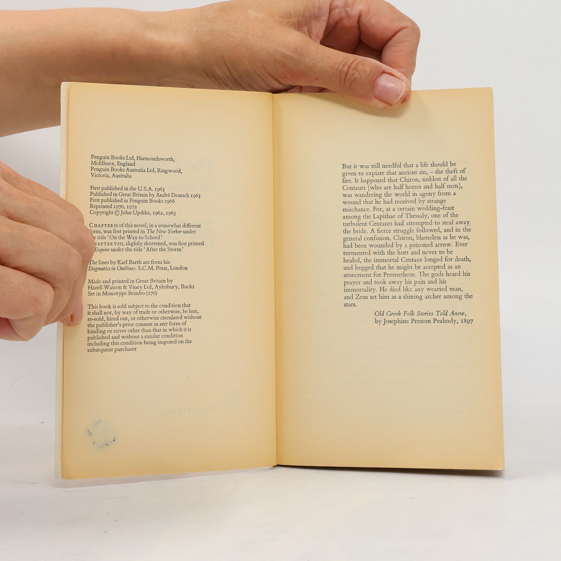 John Updike The Centaur