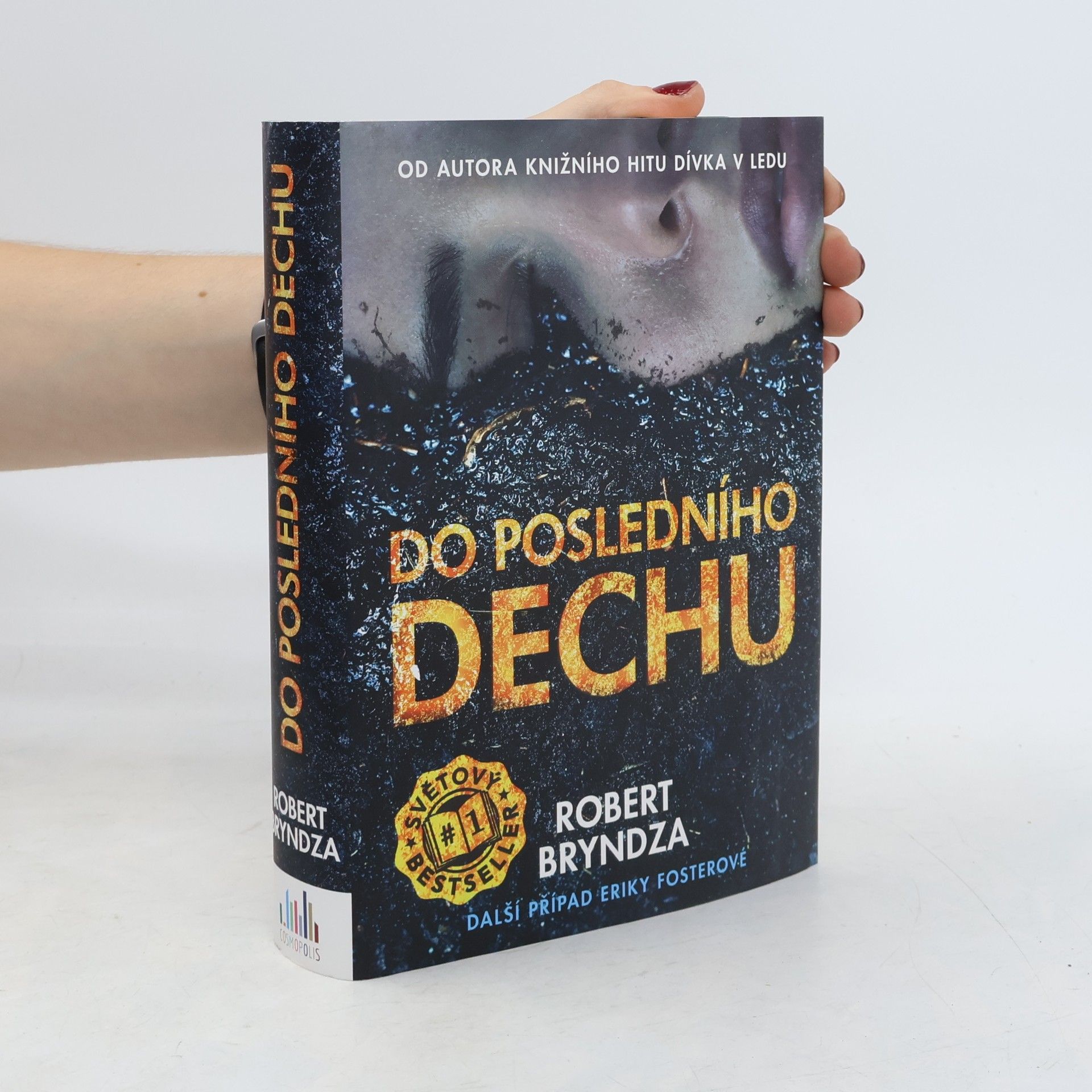 Robert Bryndza Do posledního dechu