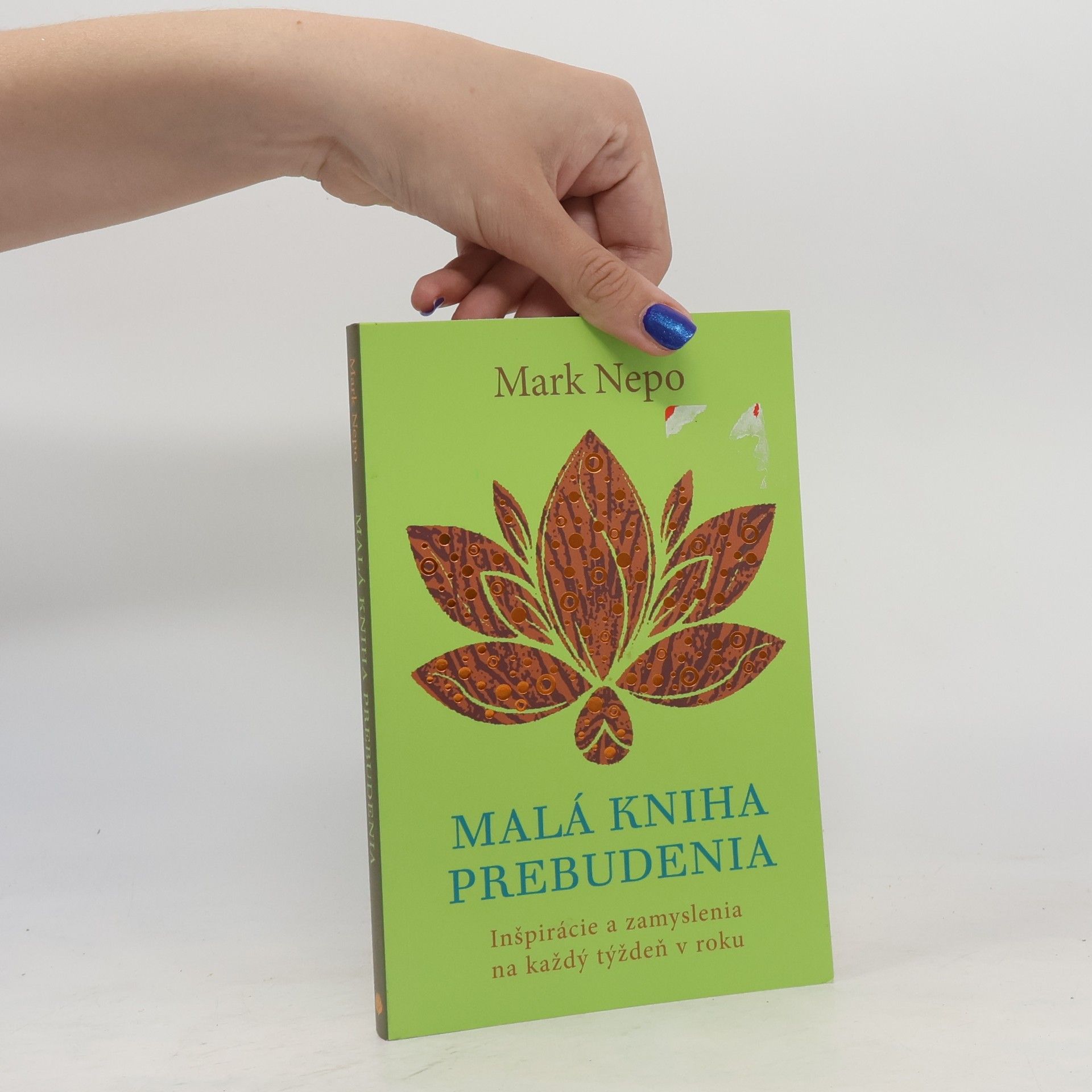Mark Nepo Malá kniha prebudenia