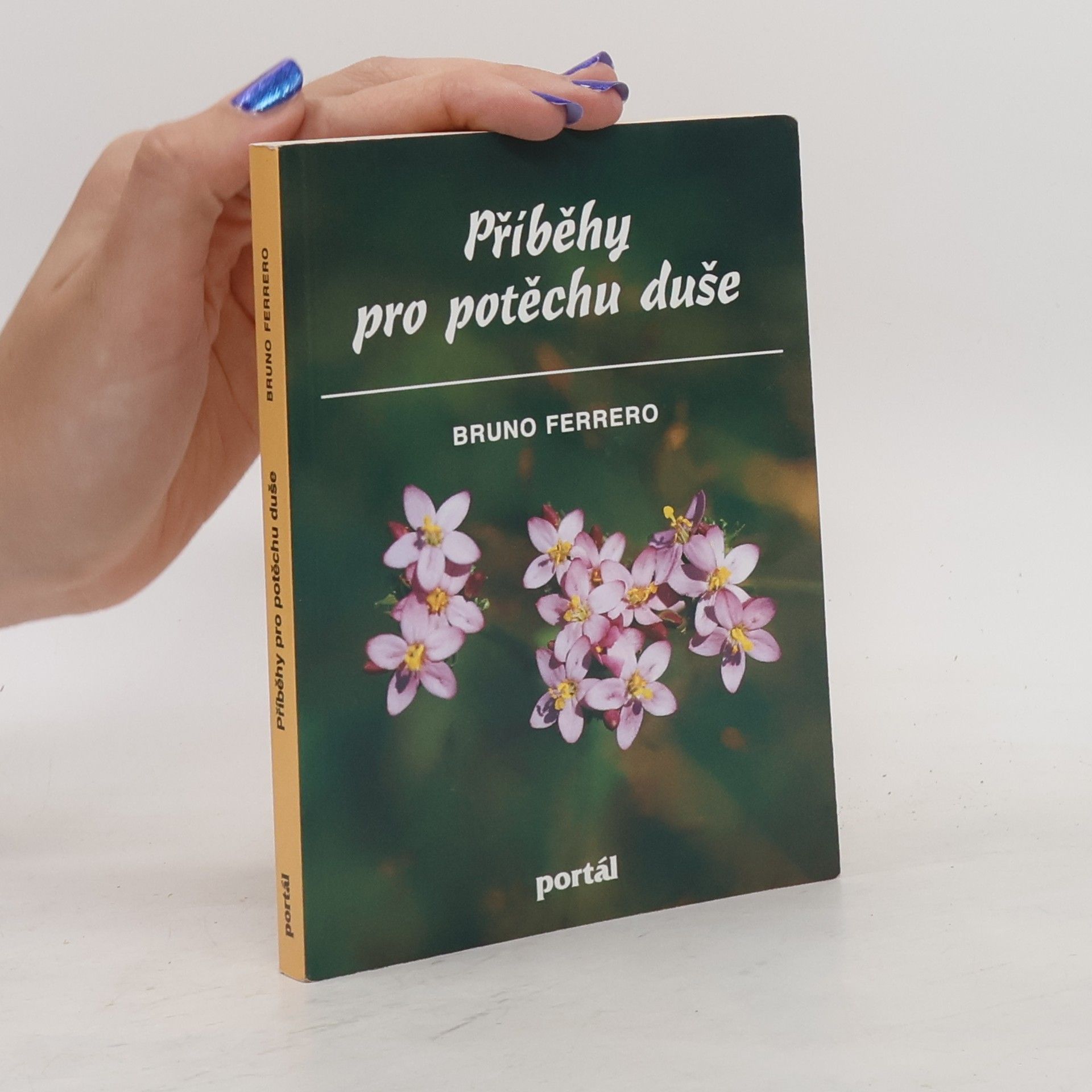 Bruno Ferrero Příběhy pro potěchu duše