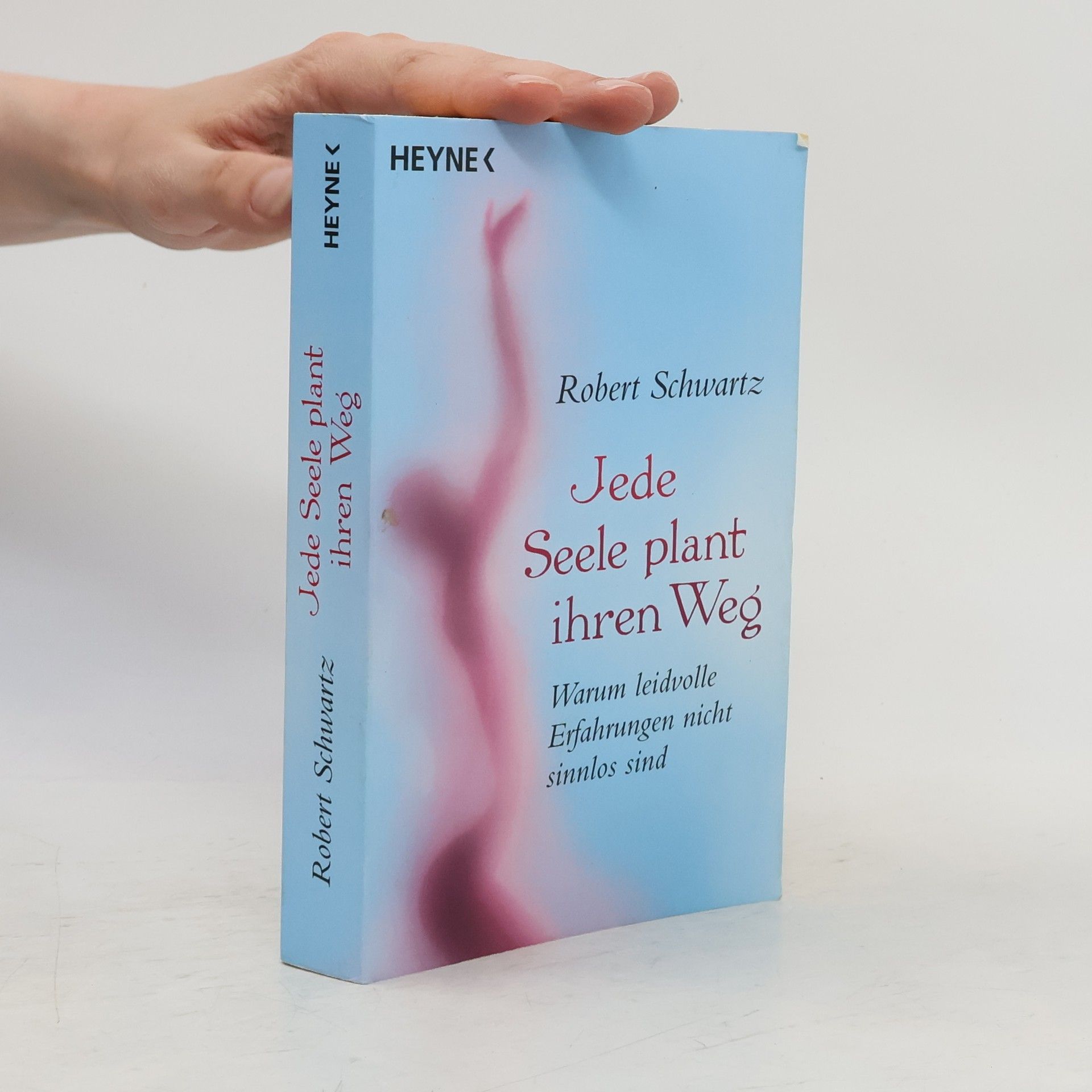 Robert Schwartz Jede Seele plant ihren Weg