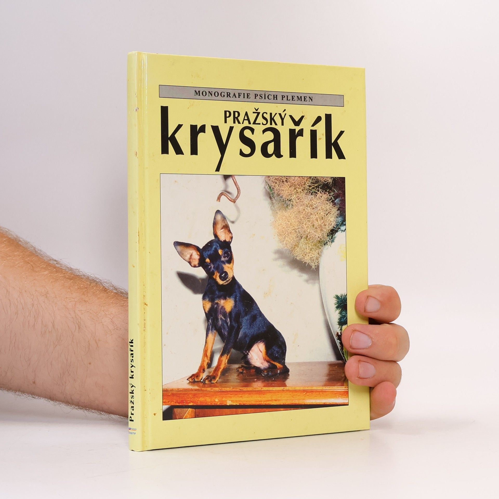 Various authors Pražský krysařík