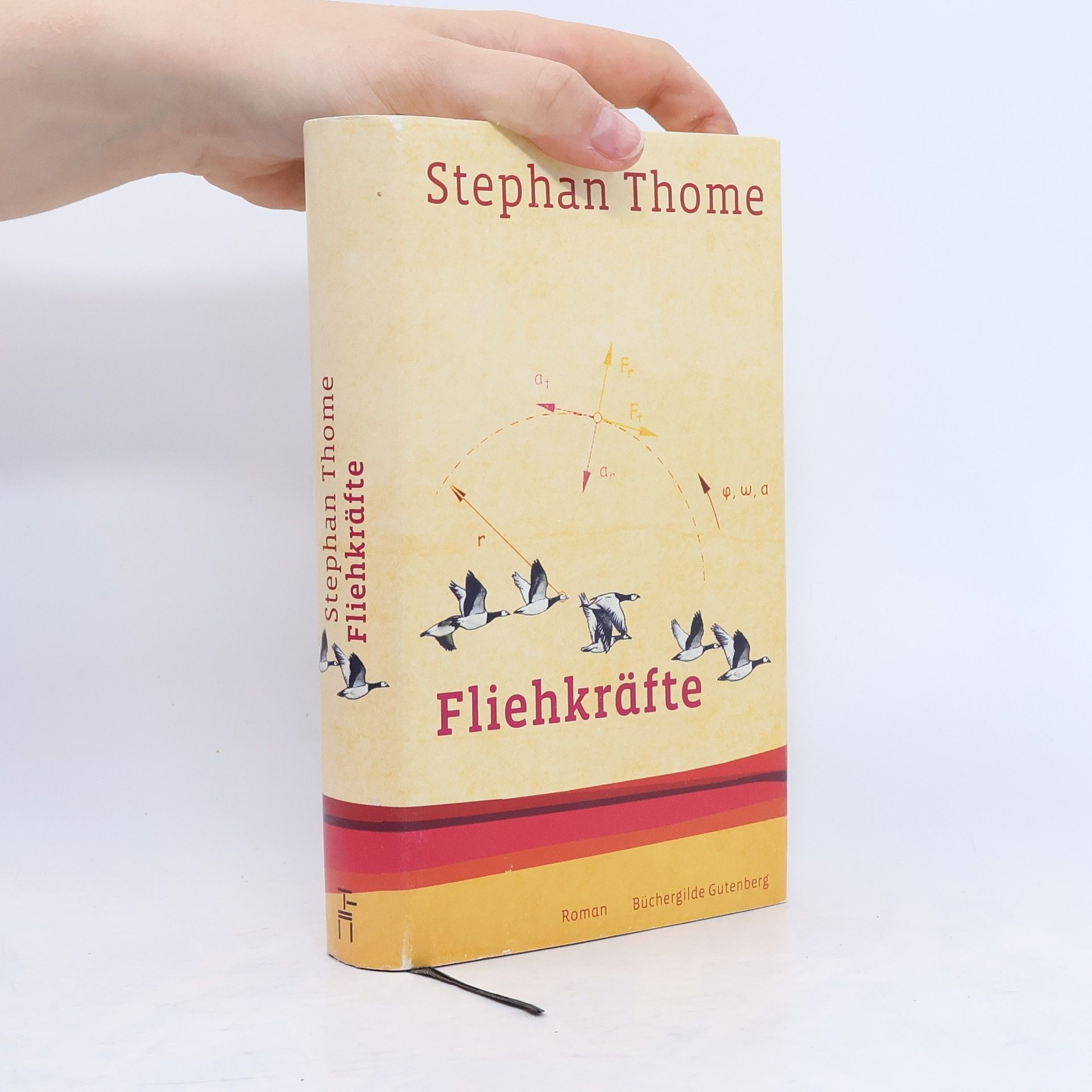 Stephan Thome Fliehkräfte