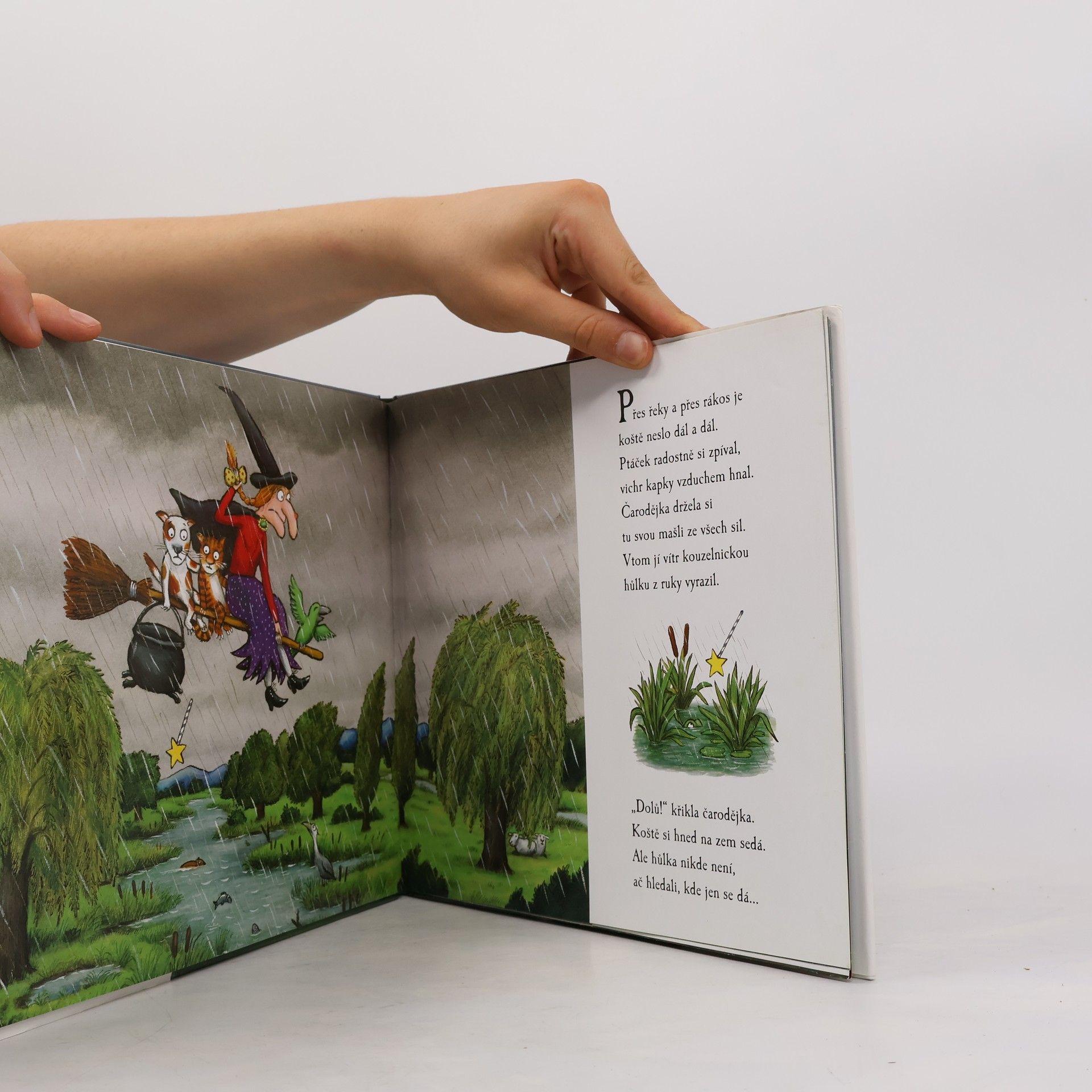 Julia Donaldson Všichni letí na koštěti