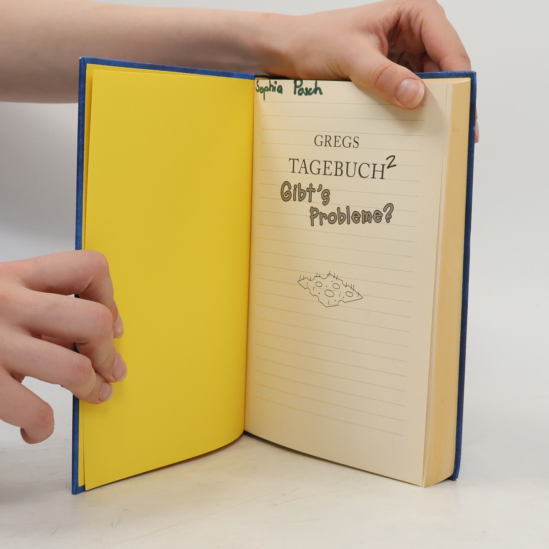Jeff Kinney Gregs Tagebuch 2. Gibt's Probleme?