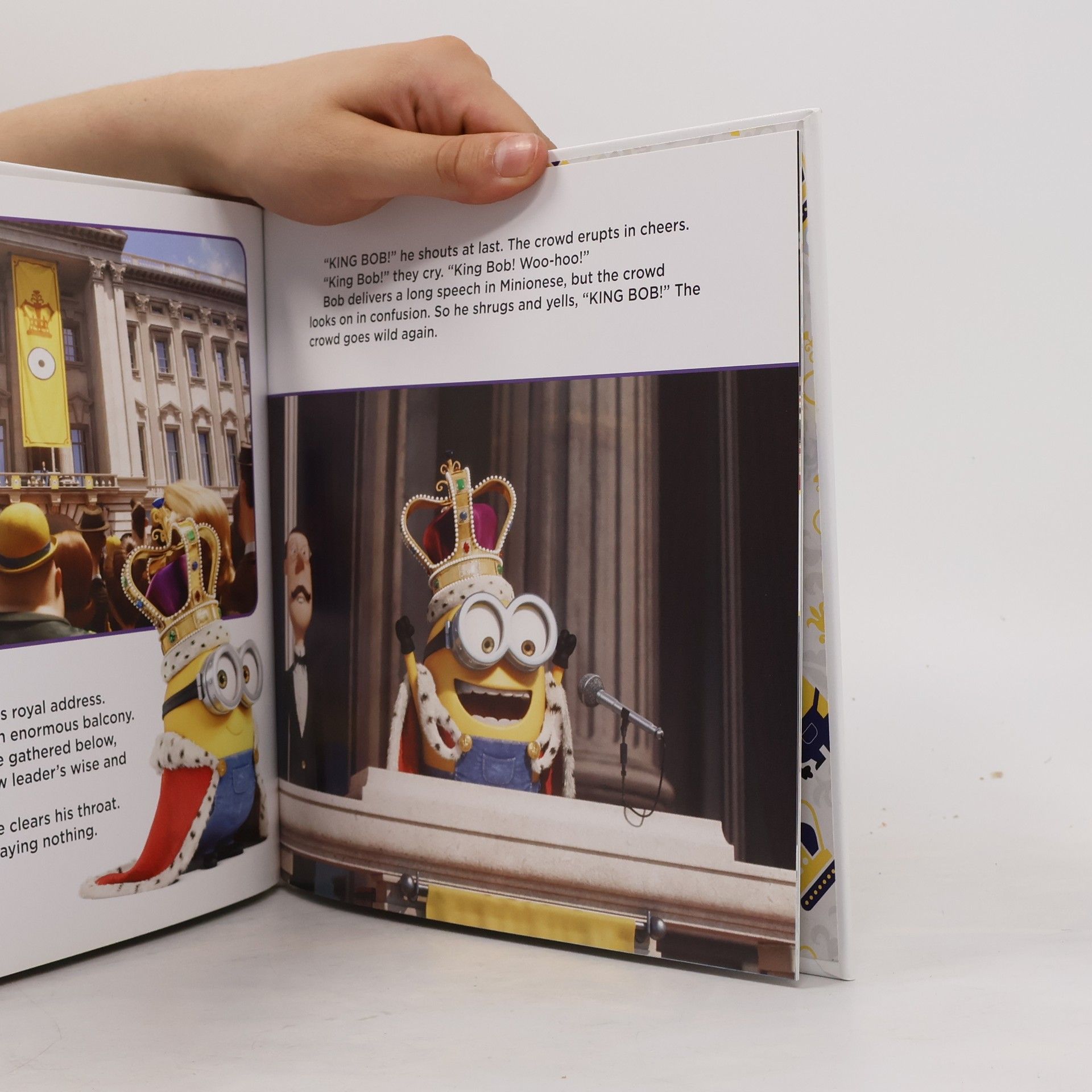 Lucy Rosen (Children's story adapter) Long Live King Bob!