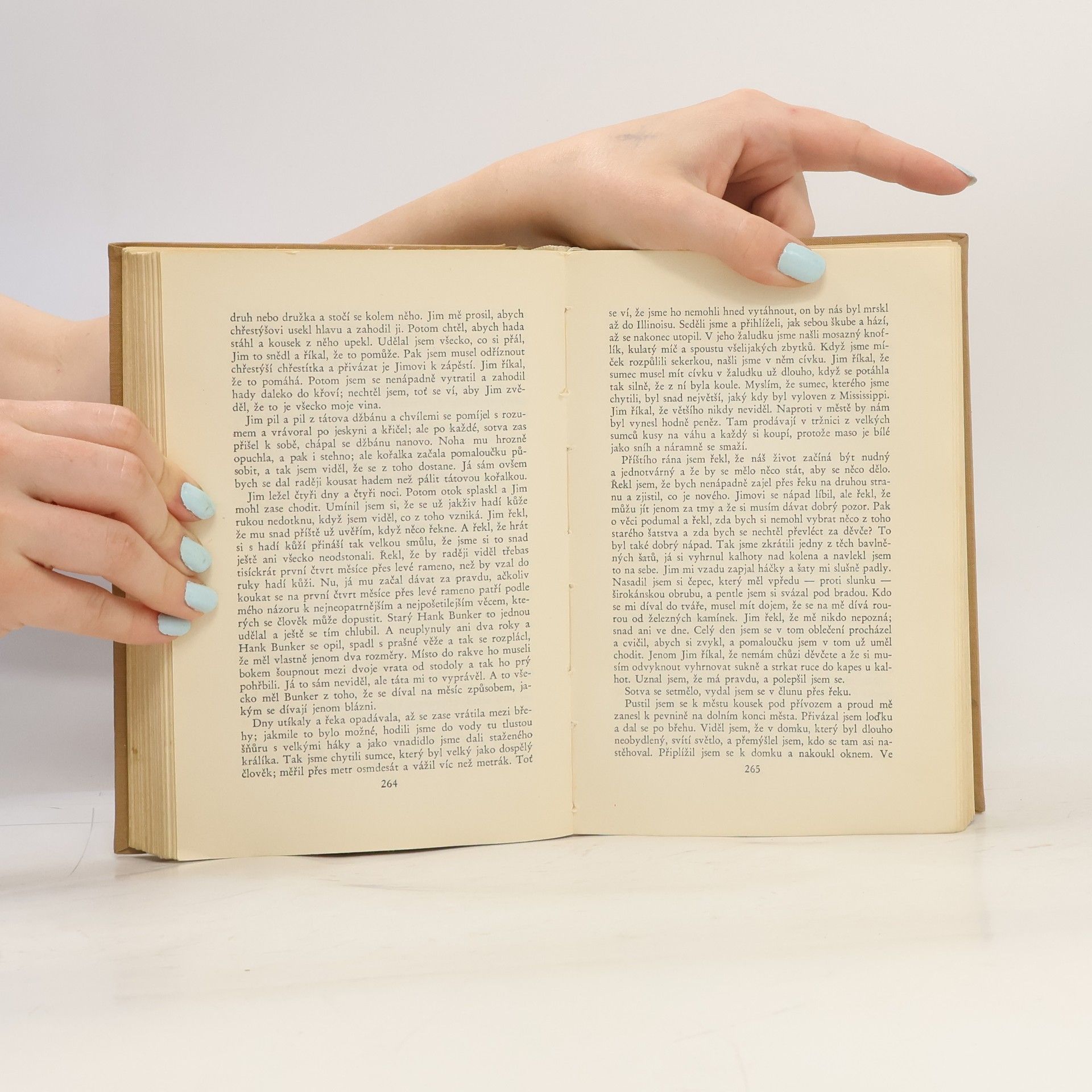 Mark Twain Dobrodružství Toma Sawyera. Dobrodružství Huckleberryho Finna