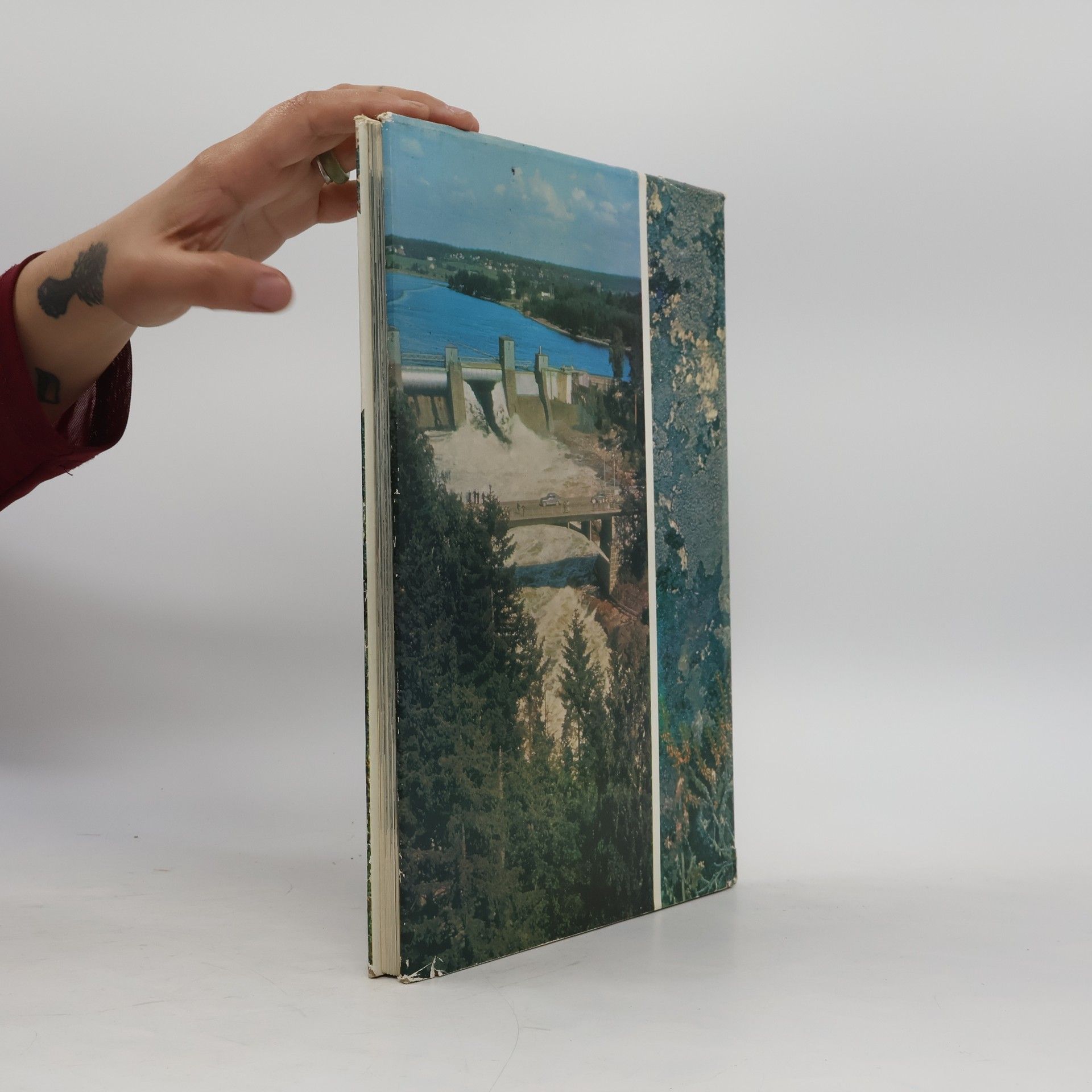 Collectif d'auteurs The Face Of Finland. Das Antlitz Finnlands