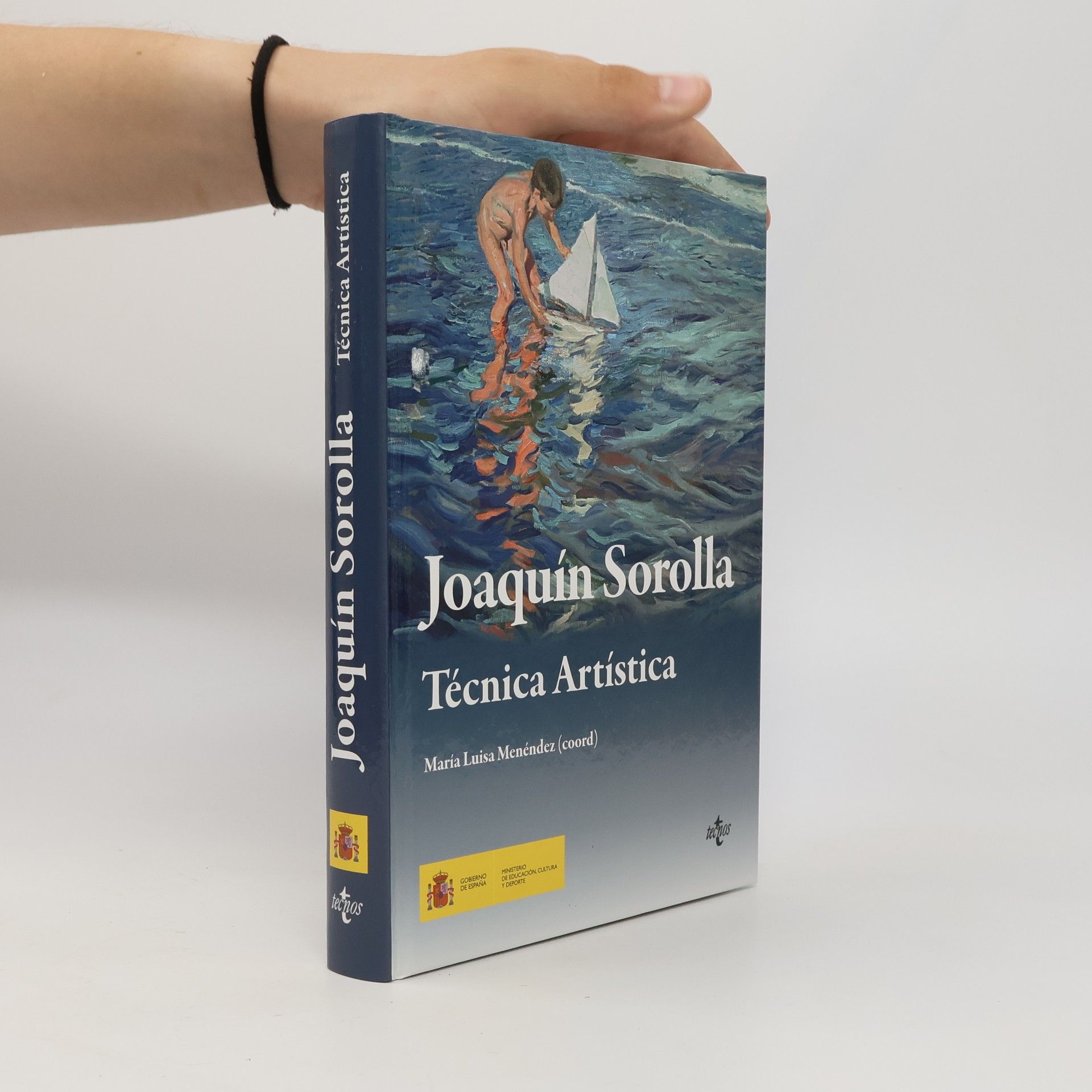Roberto Díaz Pena Joaquín Sorolla. Técnica artística