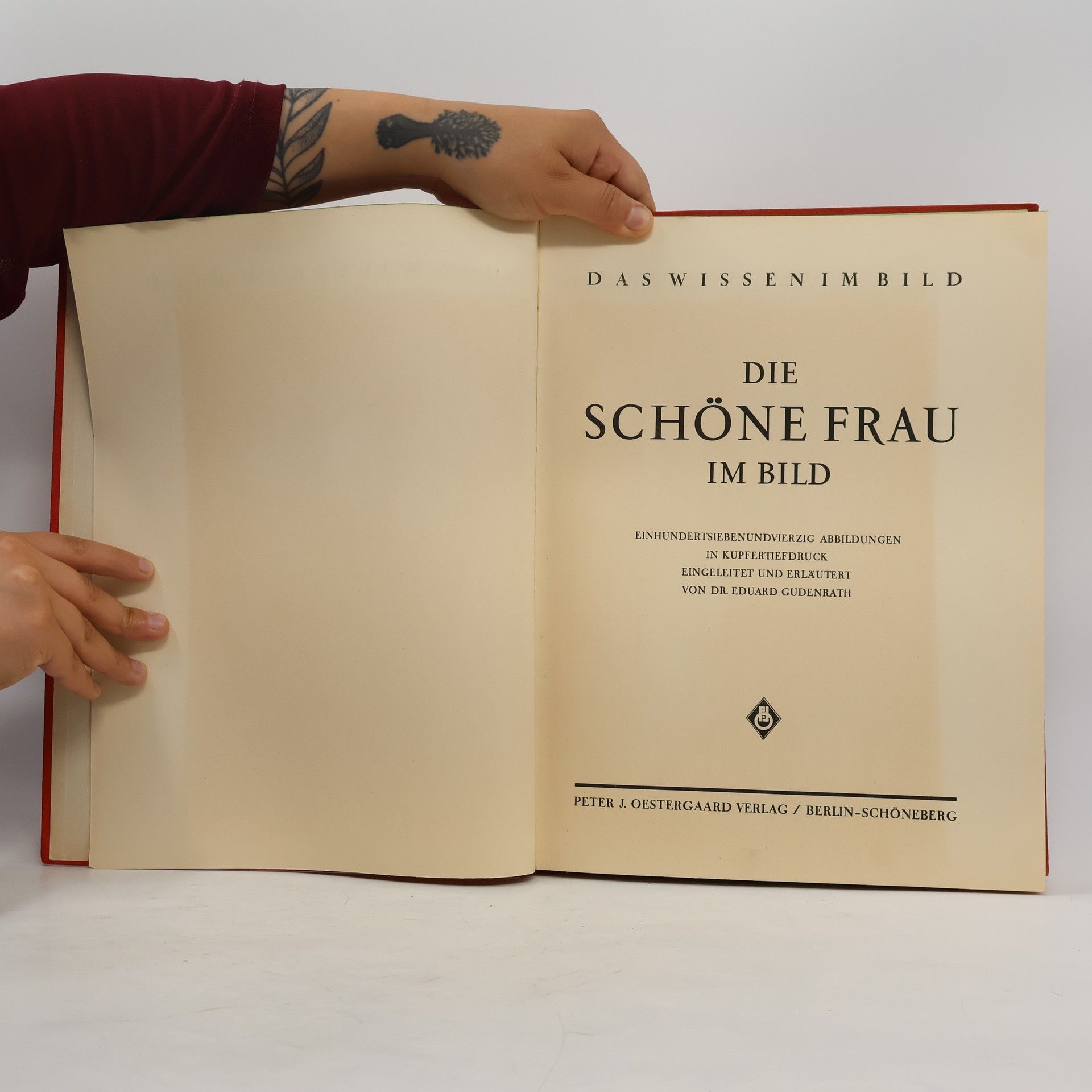 Autorenkollektiv Die schöne Frau im Bild