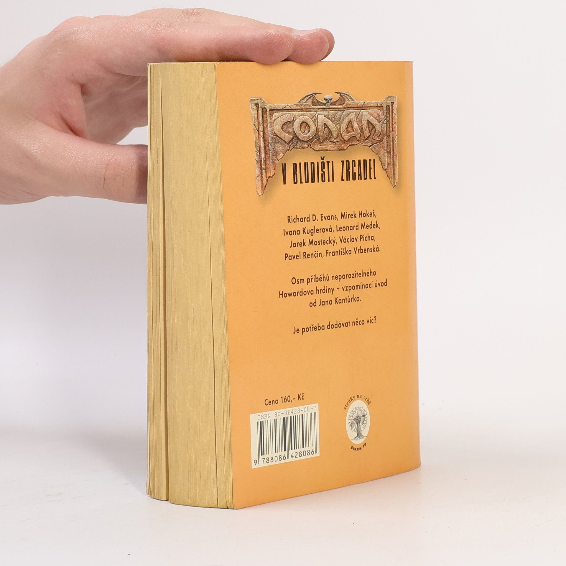 Autorenkollektiv Conan v bludišti zrcadel : sborník českých fantasy povídek