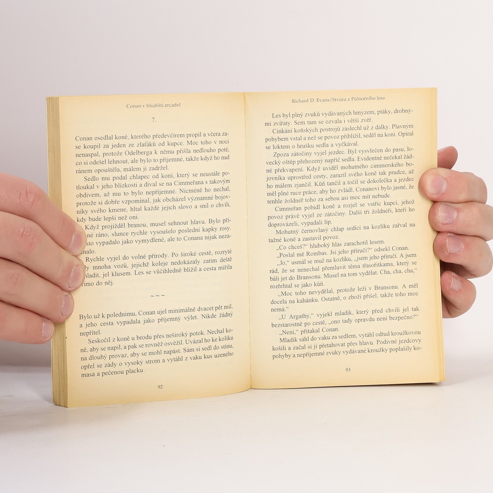 Autorenkollektiv Conan v bludišti zrcadel : sborník českých fantasy povídek