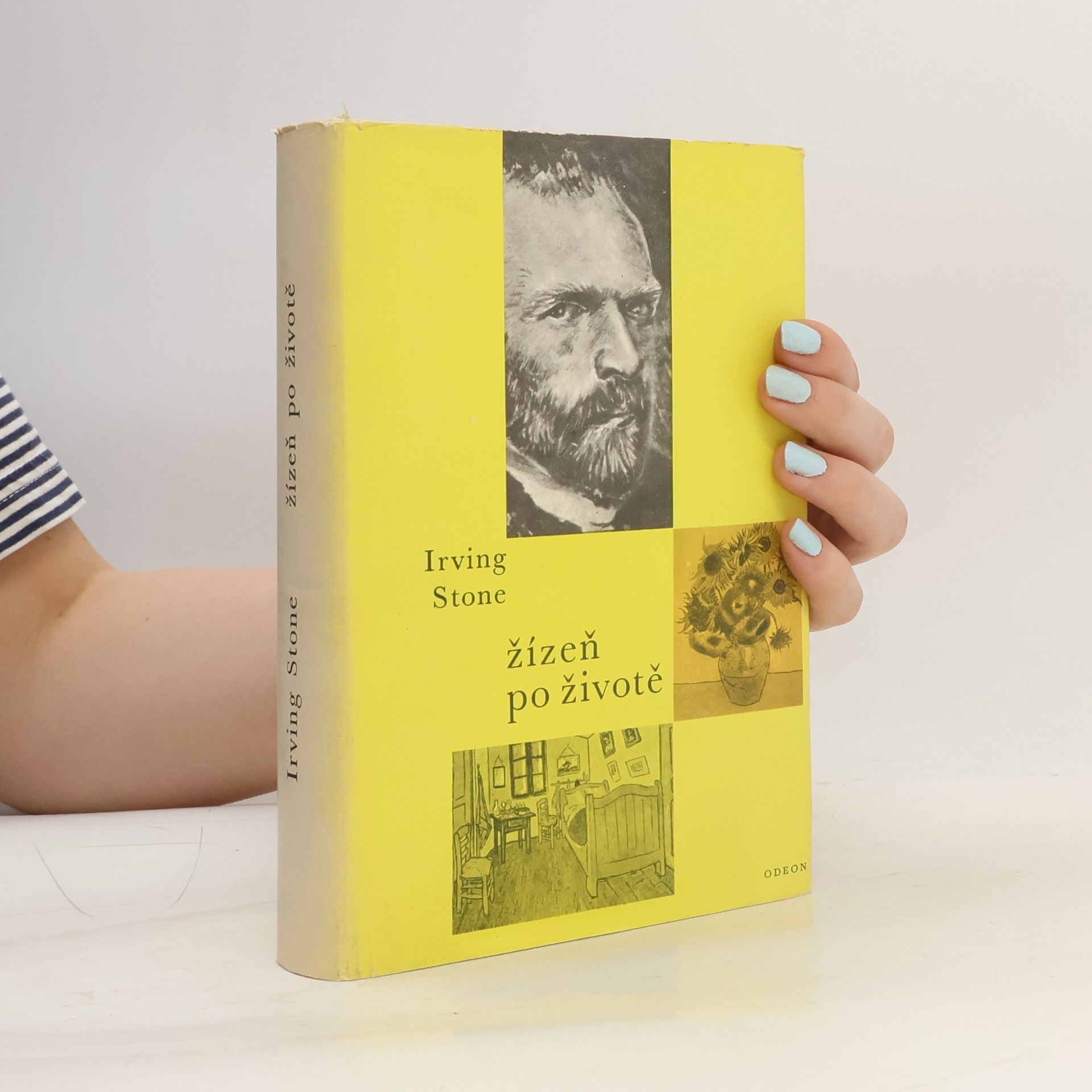 Irving Stone Žízeň po životě