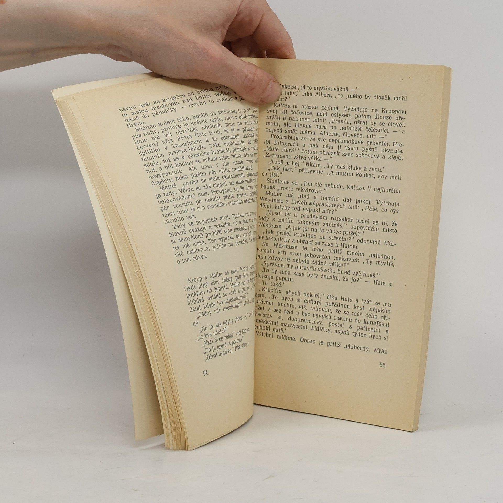 Erich Maria Remarque Na západní frontě klid