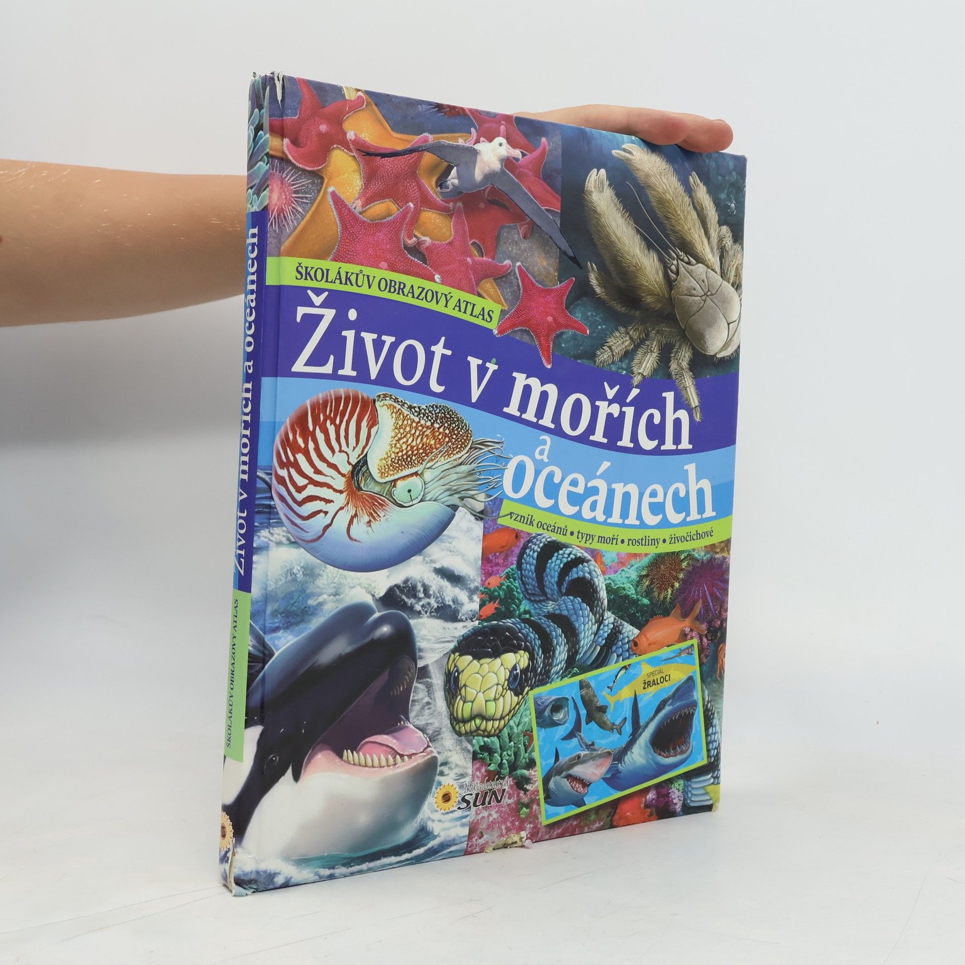 Carmen Rodríguez Život v mořích a oceánech