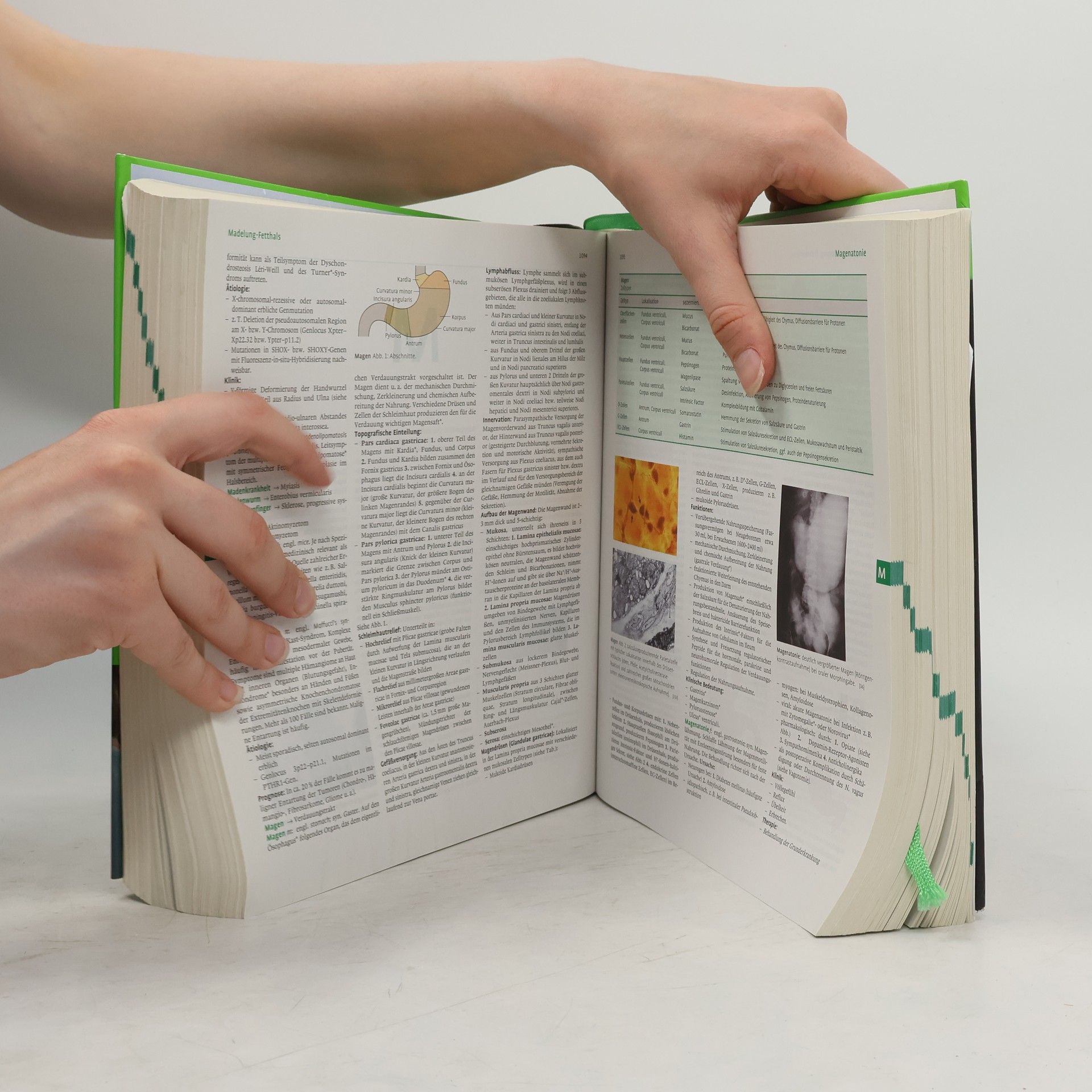 Collectif d'auteurs Pschyrembel Klinisches Wörterbuch