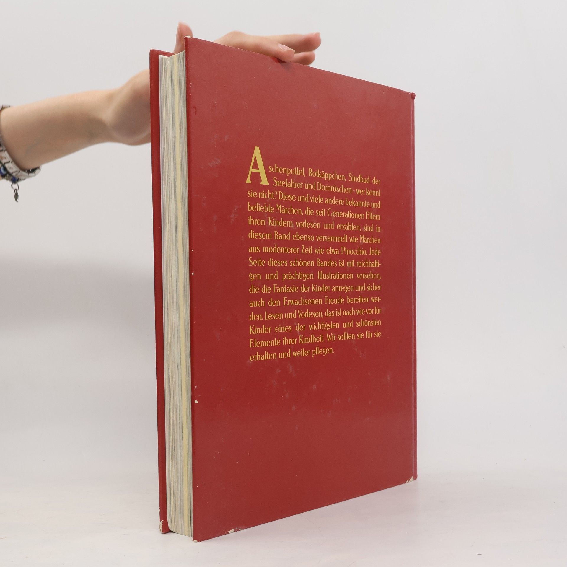 Autores varios Meine Schönsten Märchen und Andere Geschichten