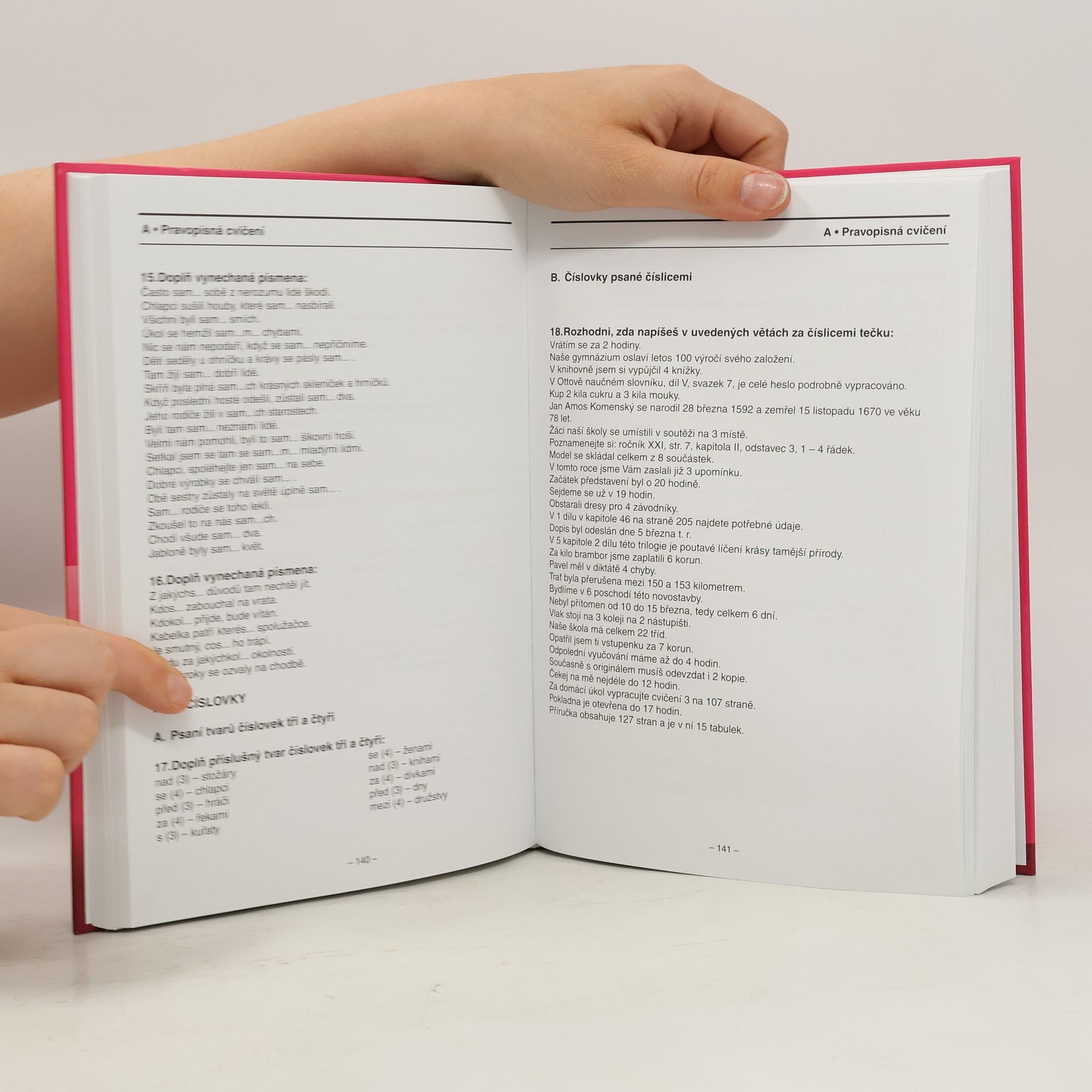 Various authors Přehled učiva českého jazyka s procvičováním pravopisných jevů, s poučením a klíčem správnosti
