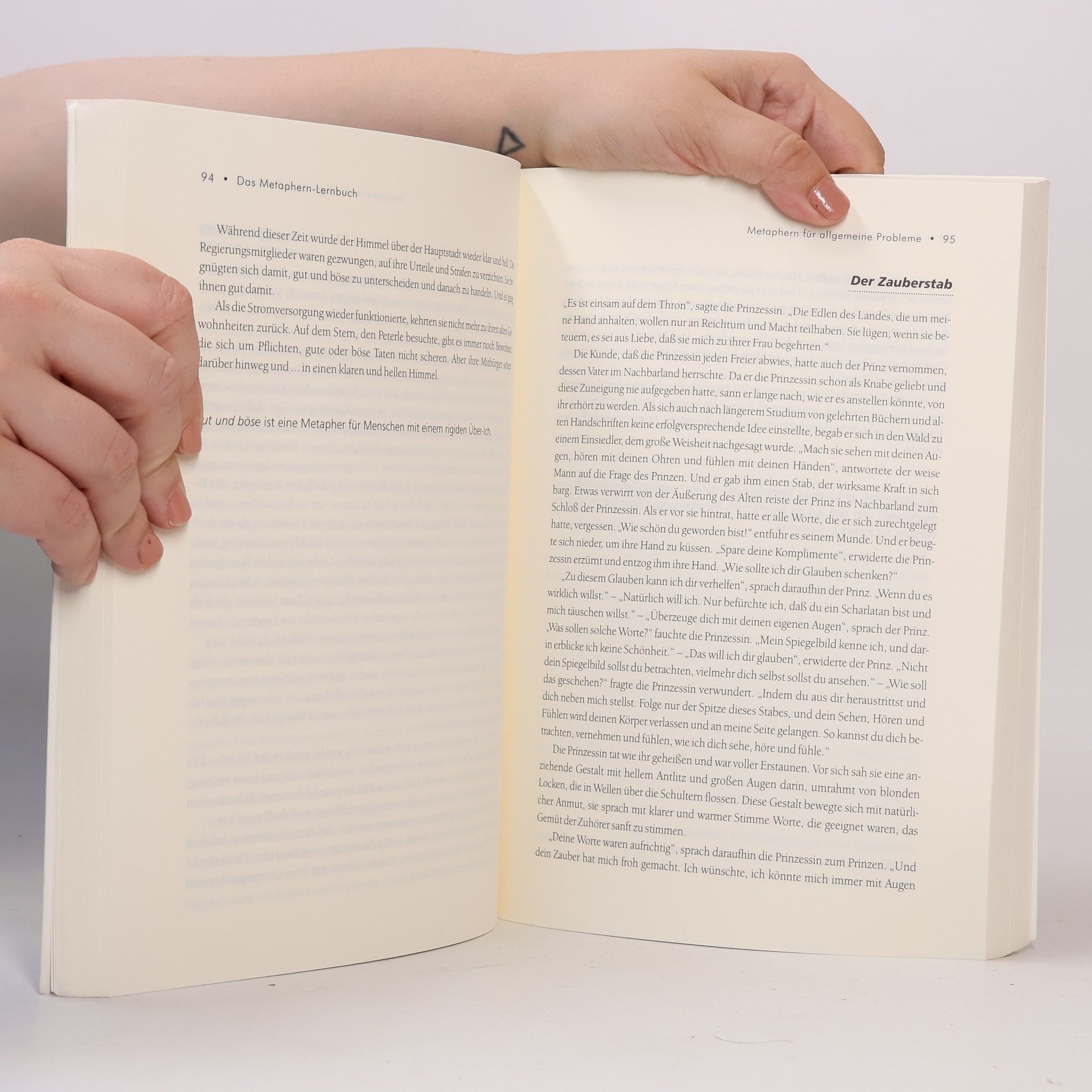 Alexa Mohl Das Metaphern-Lernbuch