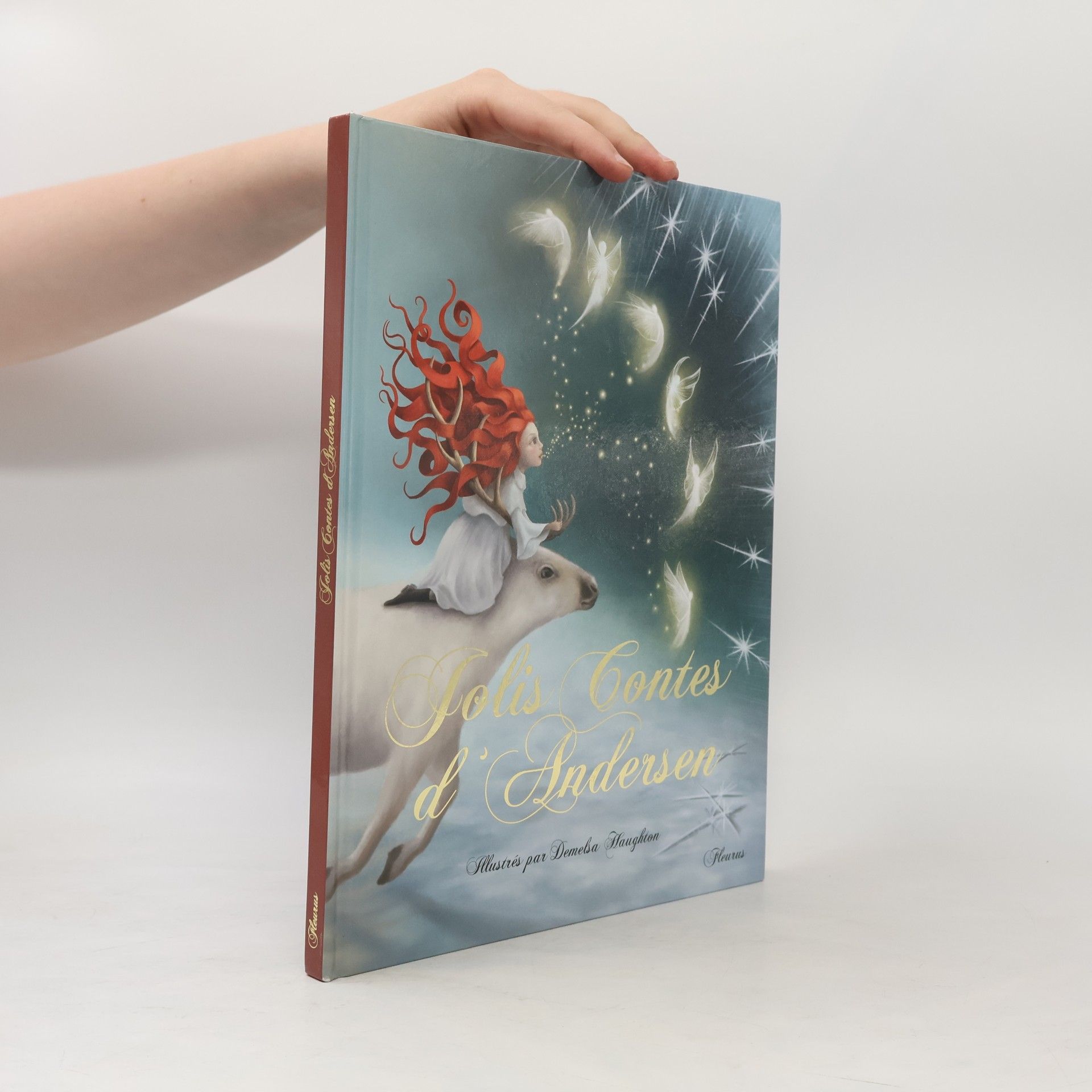 Demelsa Haughton Jolis contes d'Andersen