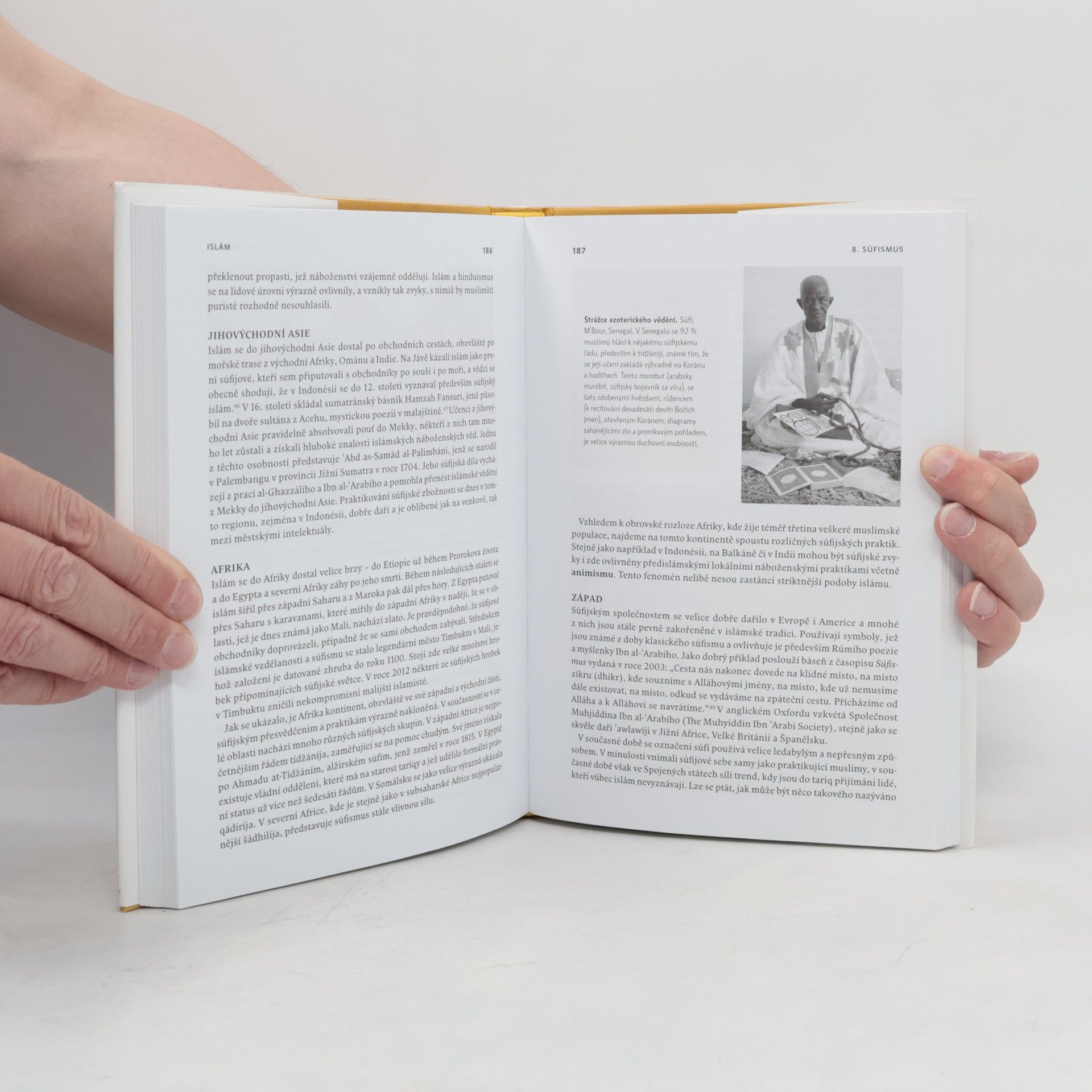 Carole Hillenbrand Islám: Historie, současnost a perspektivy