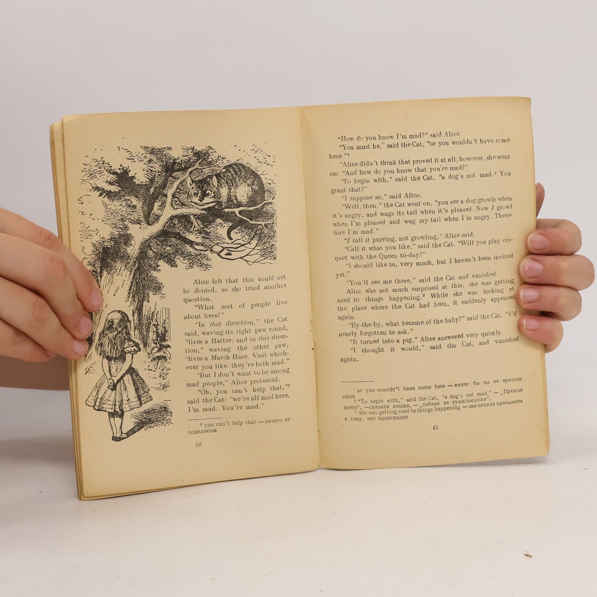 Lewis Carroll Alice in Wonderland After Lewis Carrol