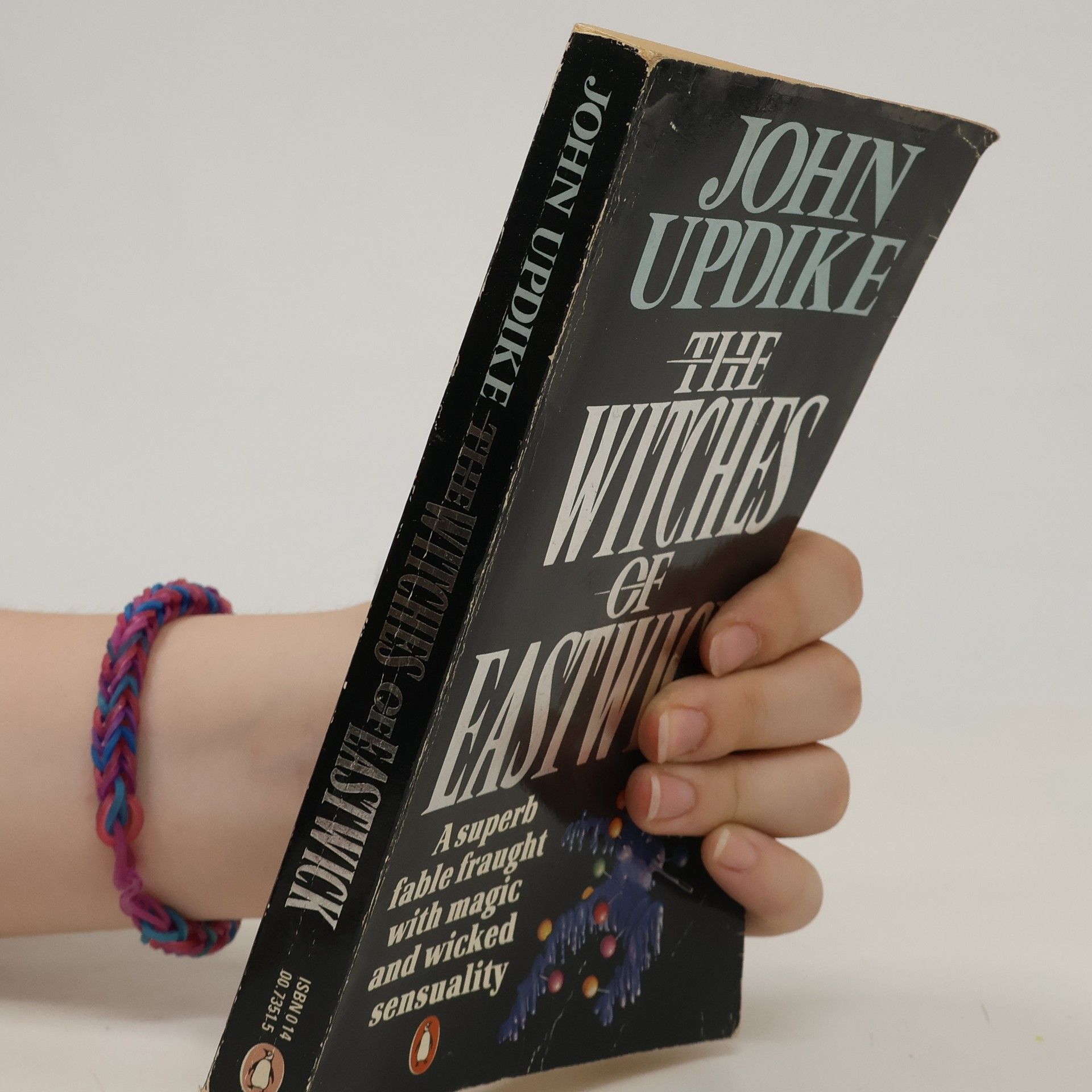 John Updike The Witches of Eastwick