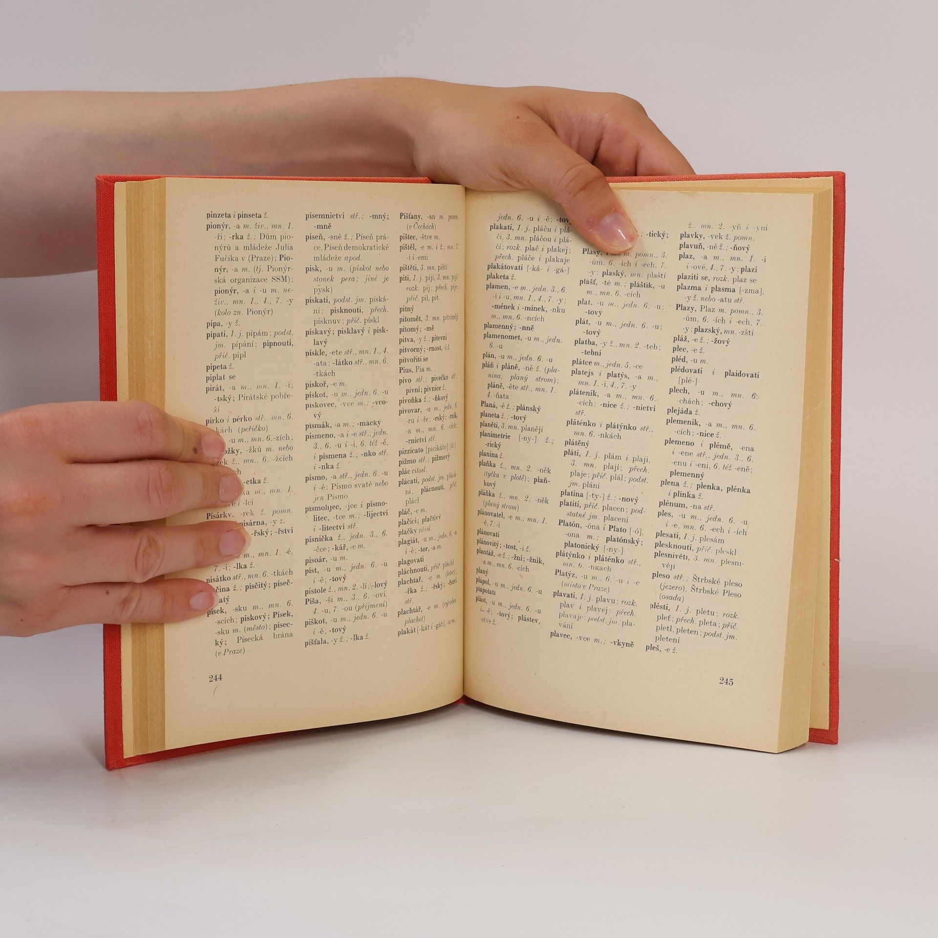 Various authors Pravidla českého pravopisu