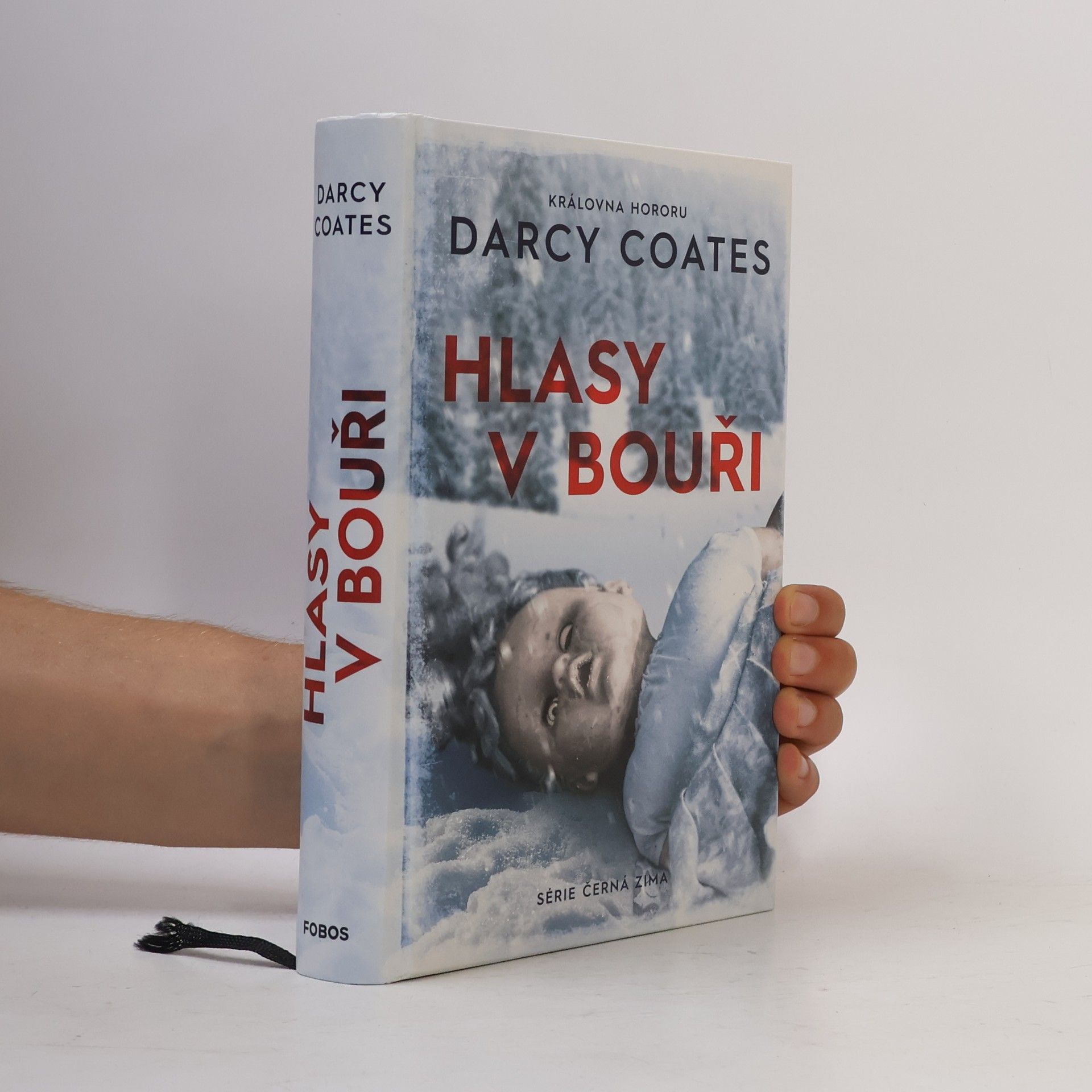 Darcy Coates Hlasy v bouři
