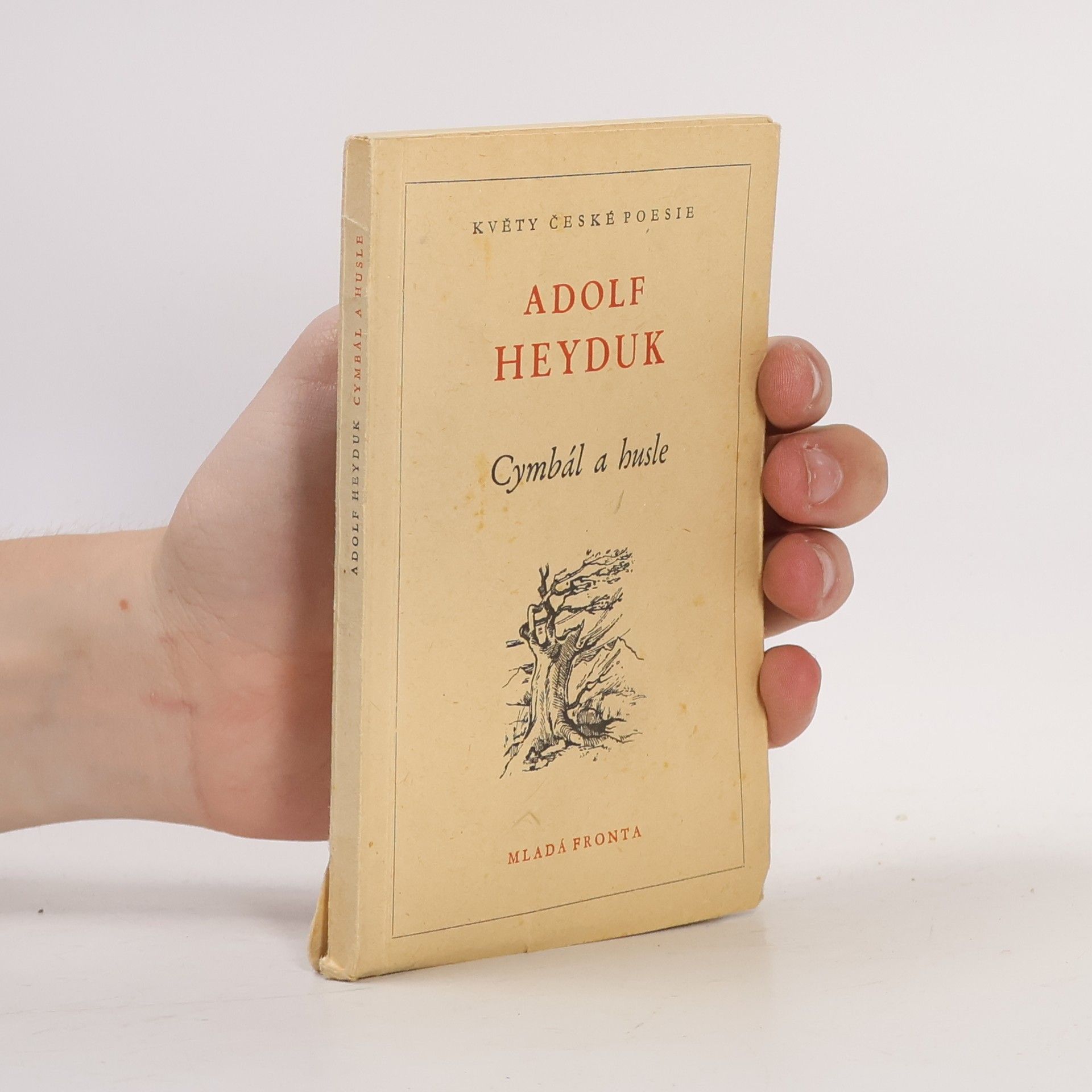 Adolf Heyduk Cymbál a husle