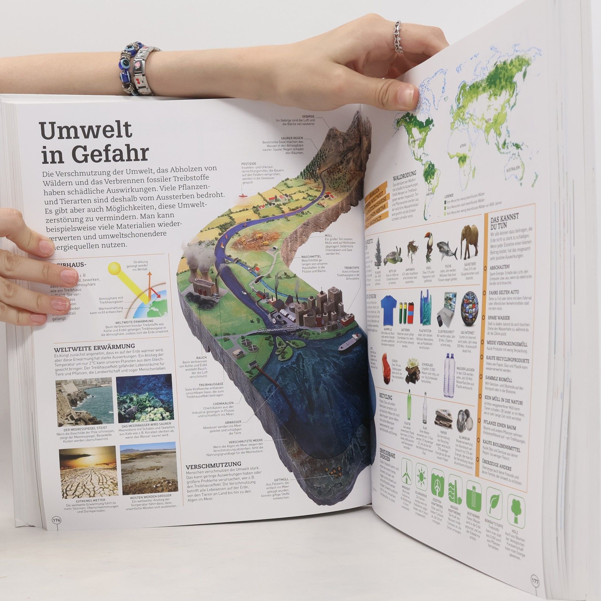 Bilderpedia