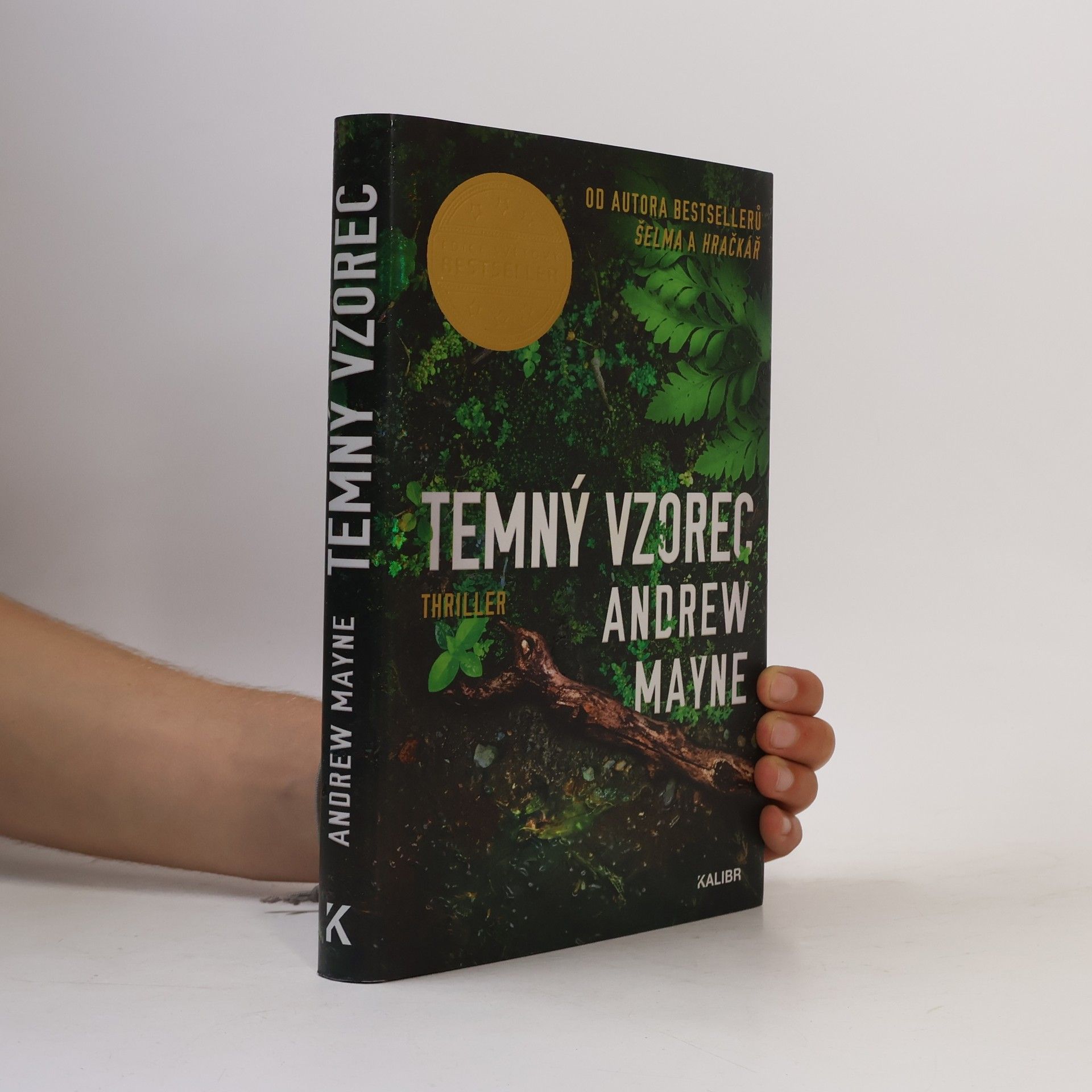 Andrew Mayne Temný vzorec
