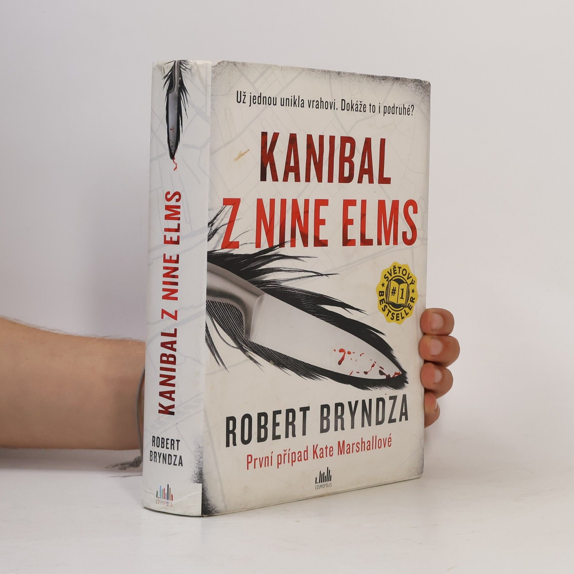 Robert Bryndza Kanibal z Nine Elms