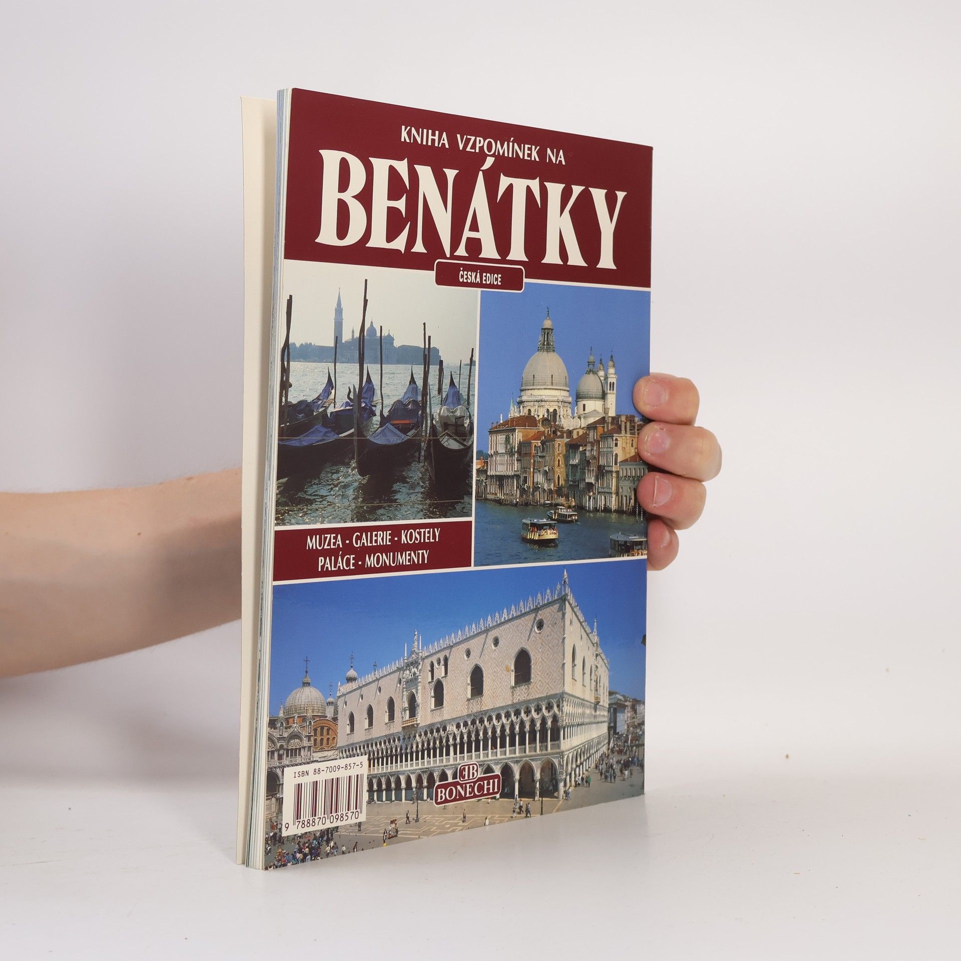 Františka Lopatová Senesi Kniha vzpomínek na Benátky