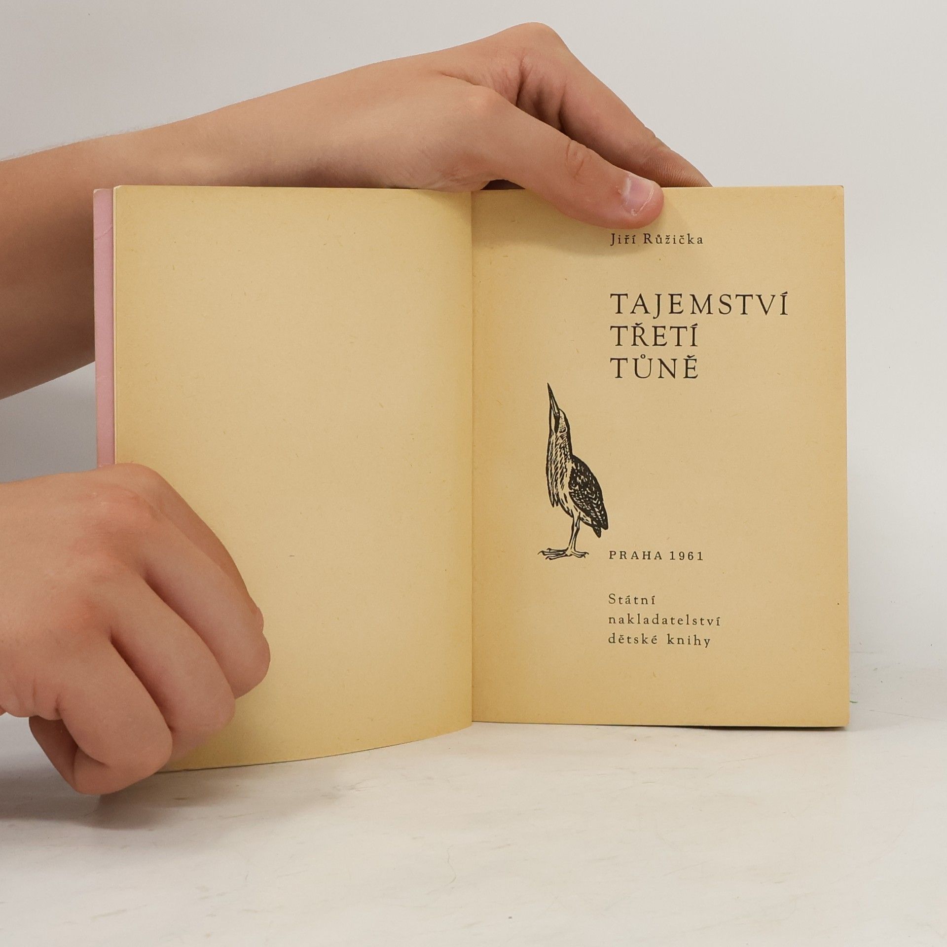 Jiří Růžička Tajemství třetí tůně