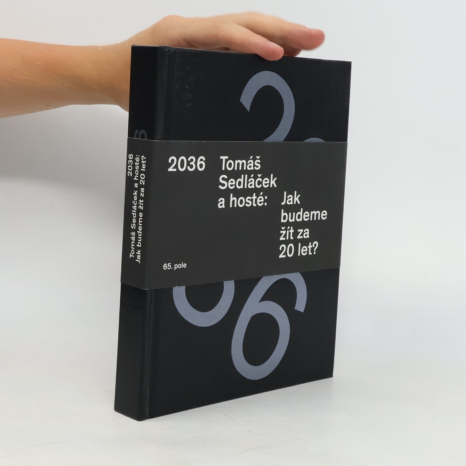 Tomáš Sedláček 2036