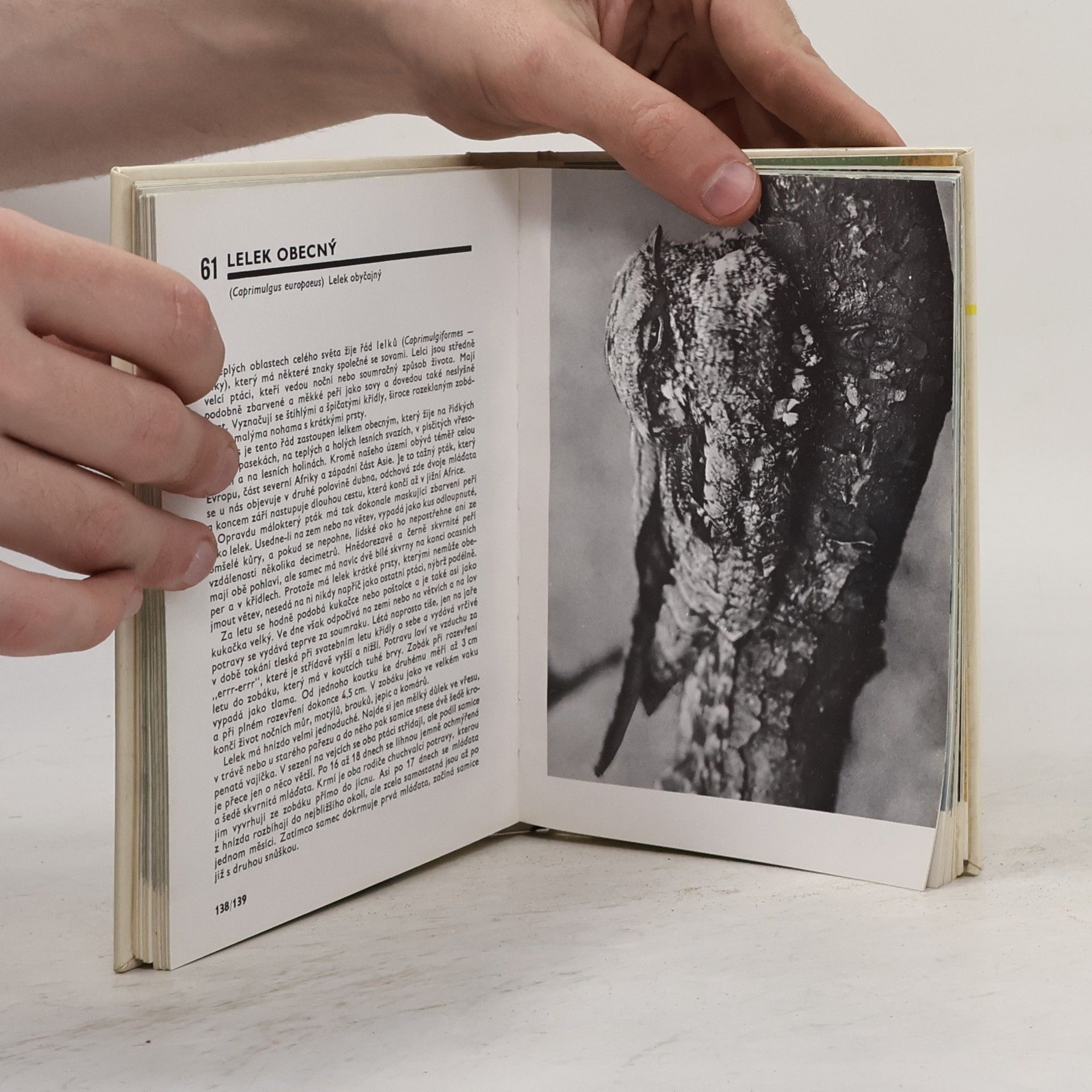 Miroslav Bouchner Kapesní atlas ptáků