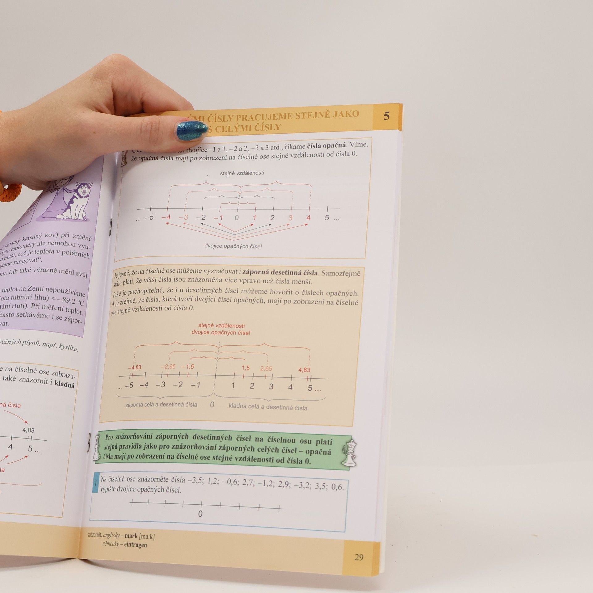 Michaela Jedličková Matematika. Kladná a záporná čísla