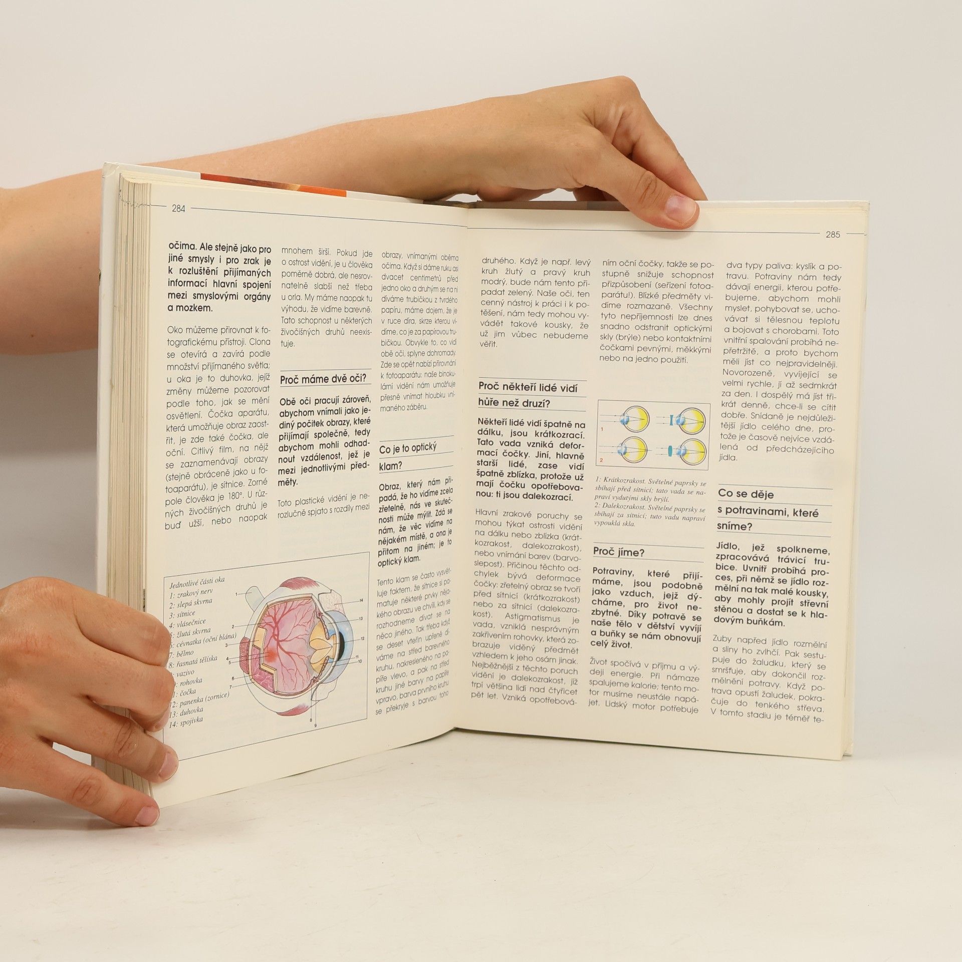 Various authors 1001 otázek a odpovědí na vše kolem nás