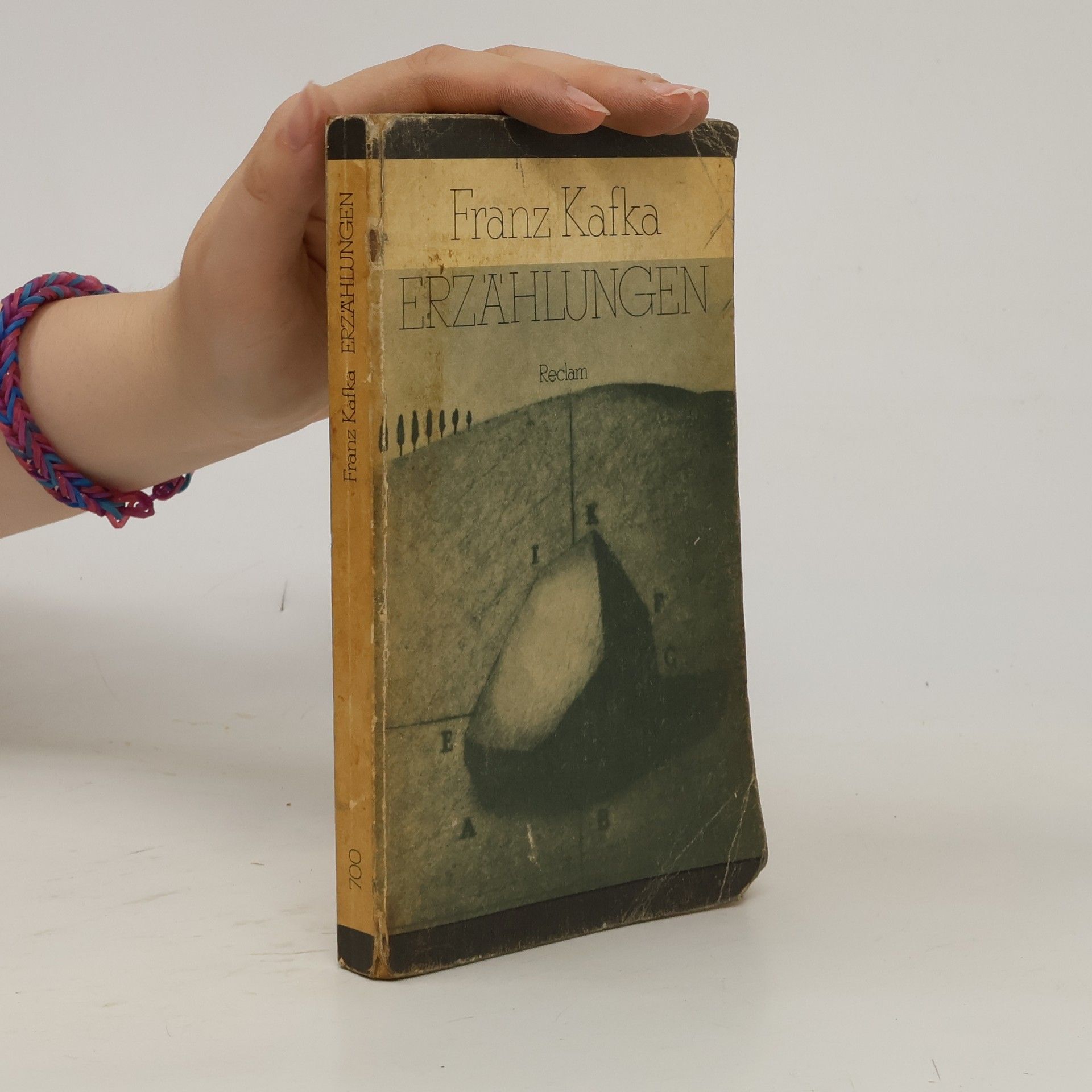 Franz Kafka Erzahlungen