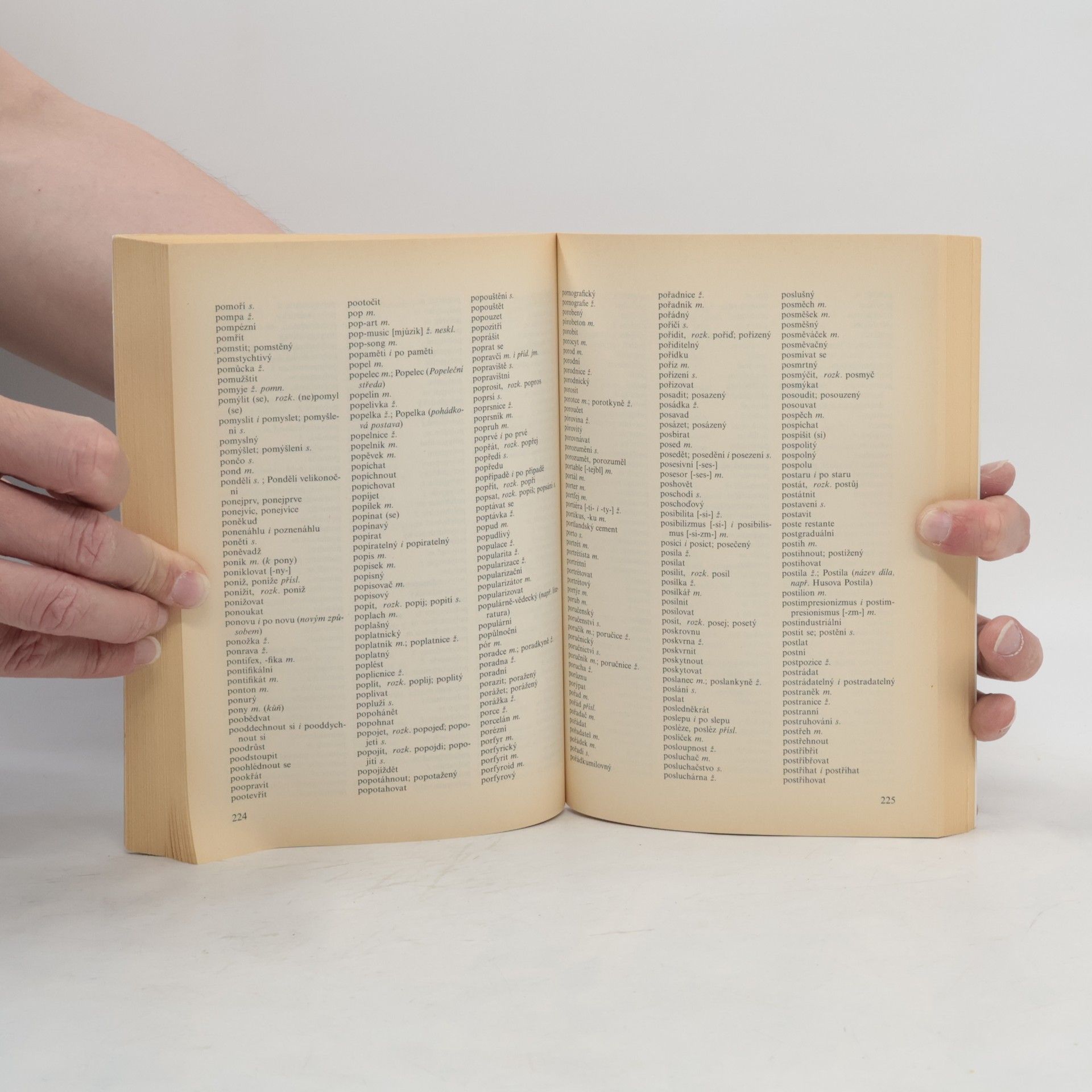 Autorenkollektiv Pravidla českého pravopisu