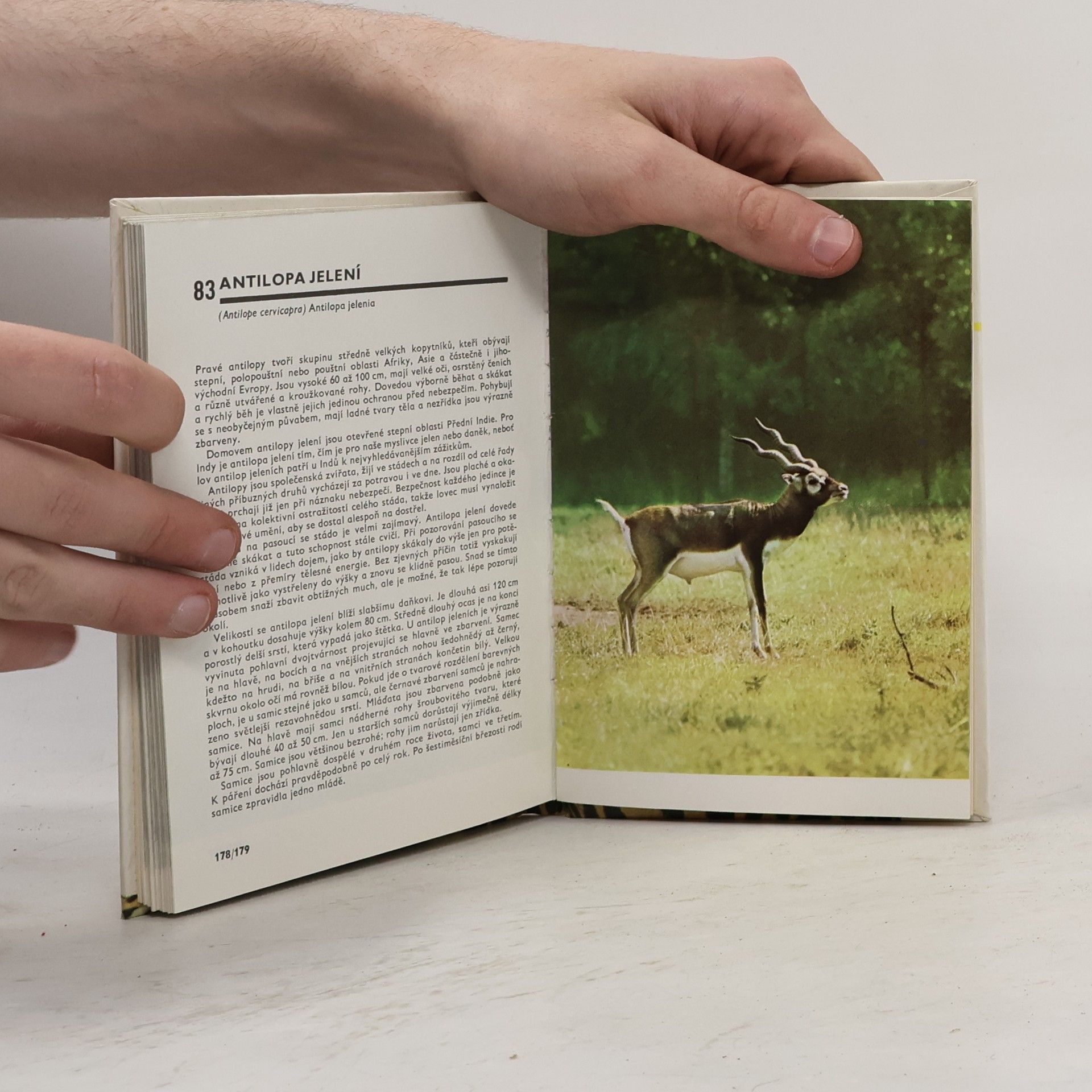 Miroslav Bouchner Kapesní atlas savců