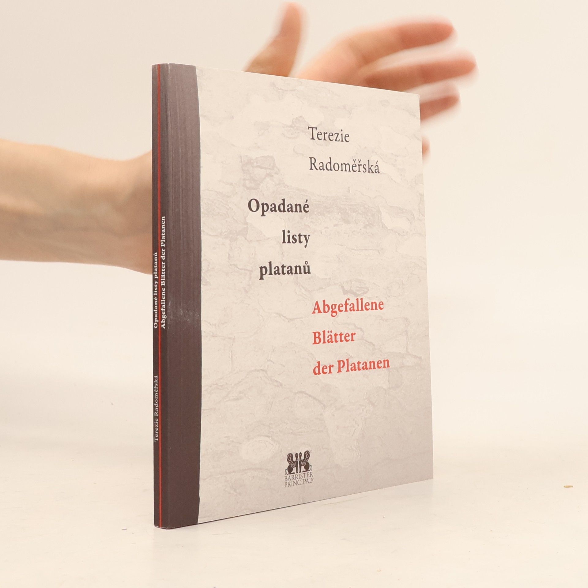 Opadané listy platanů / Abgefallene Blätter der Platanen