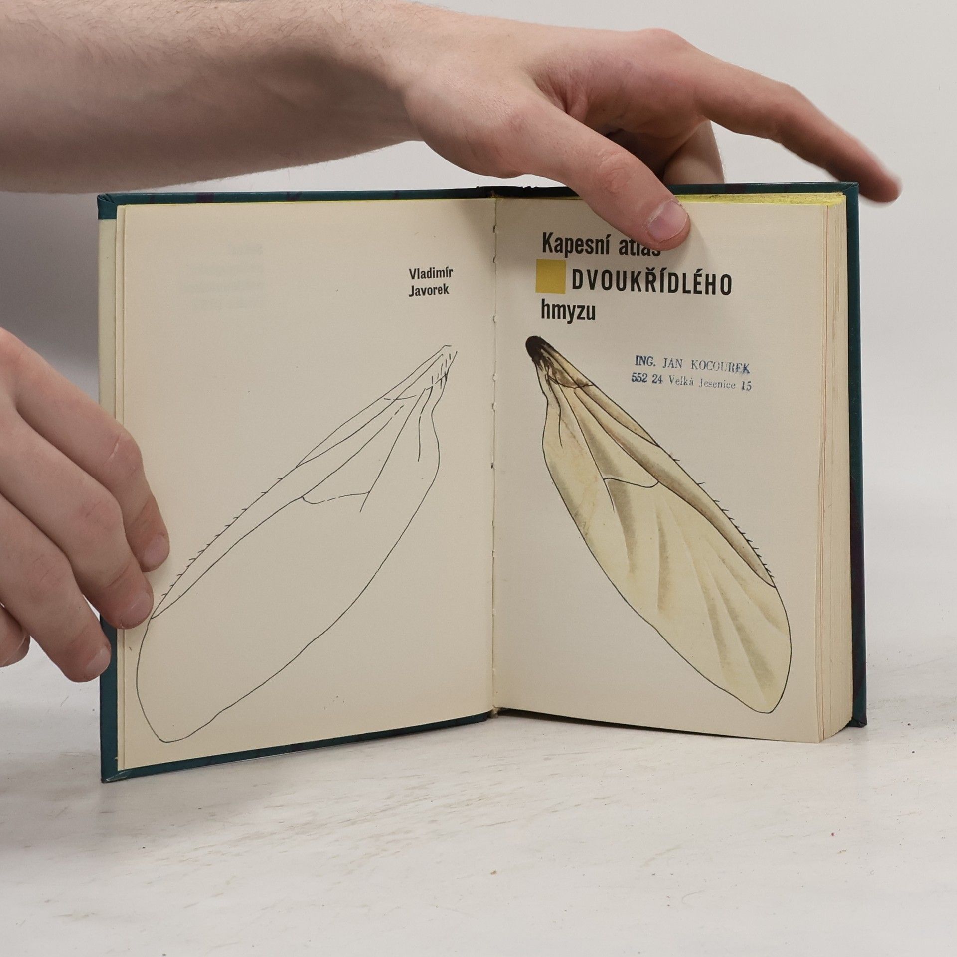 Vladimír Javorek Kapesní atlas dvoukřídlého hmyzu