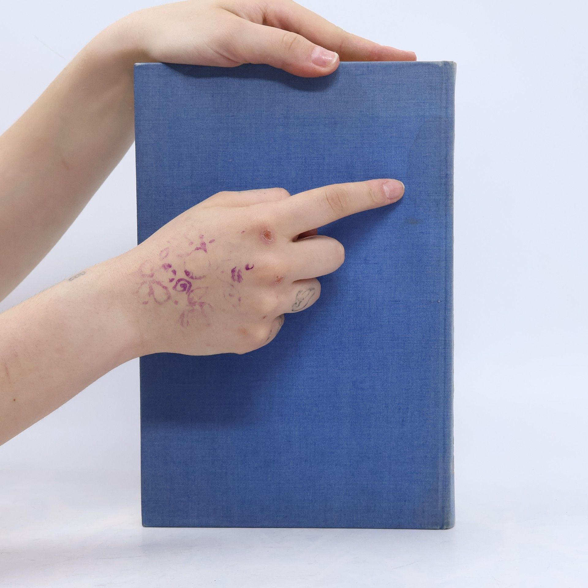 Various authors Das Papageienbuch