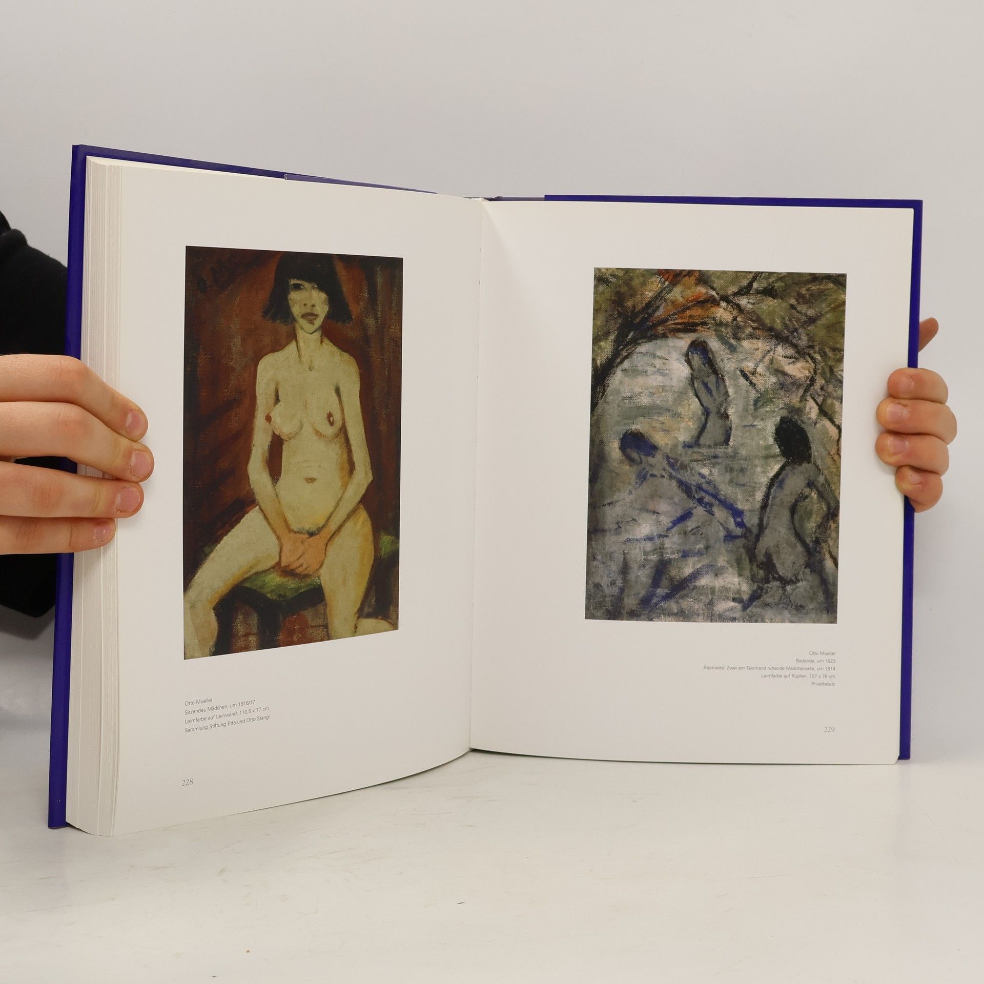 Ulrike Becks-Malorny Der expressionistische Impuls