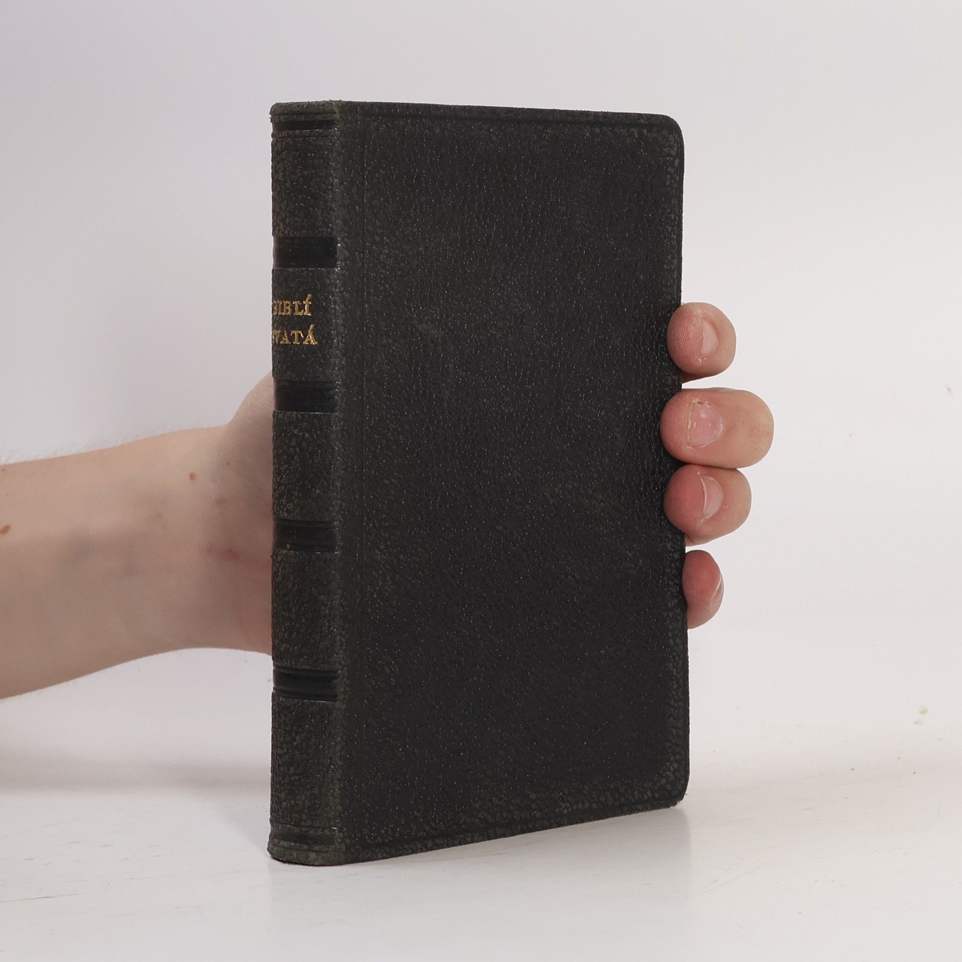 Various authors Biblí svatá aneb Všecka svatá písma Starého i Nového zákona